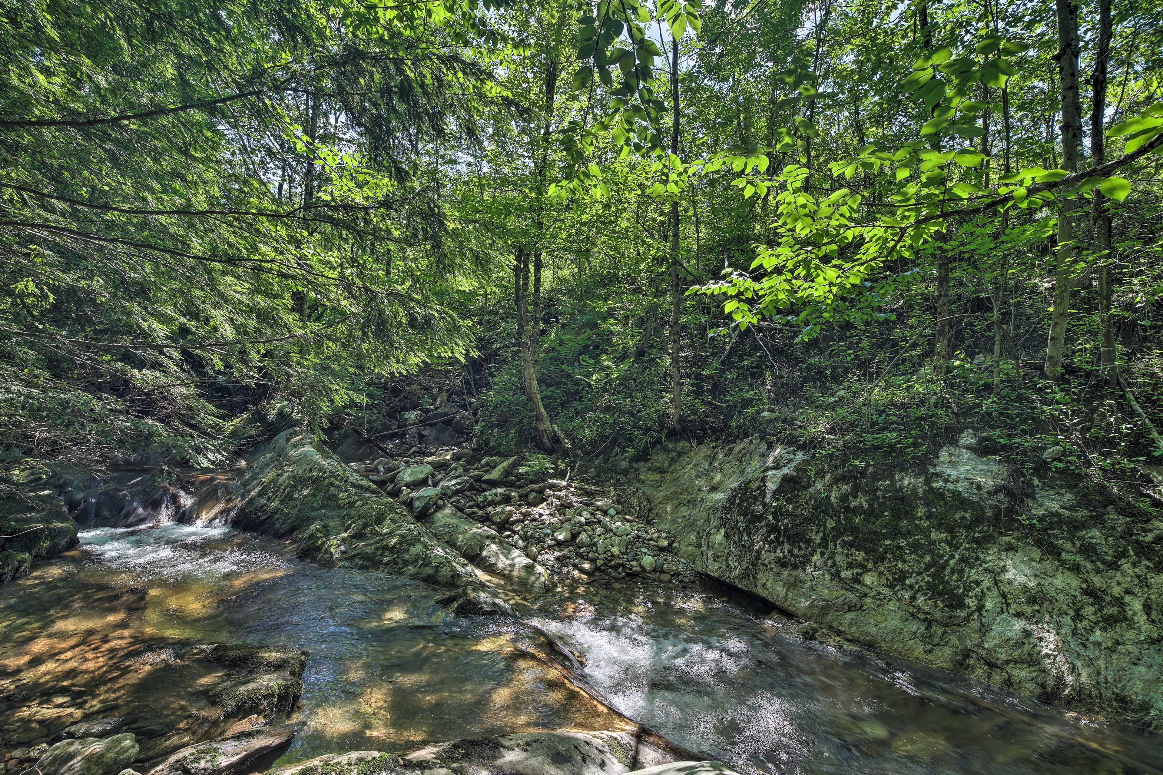 Creek On-Site