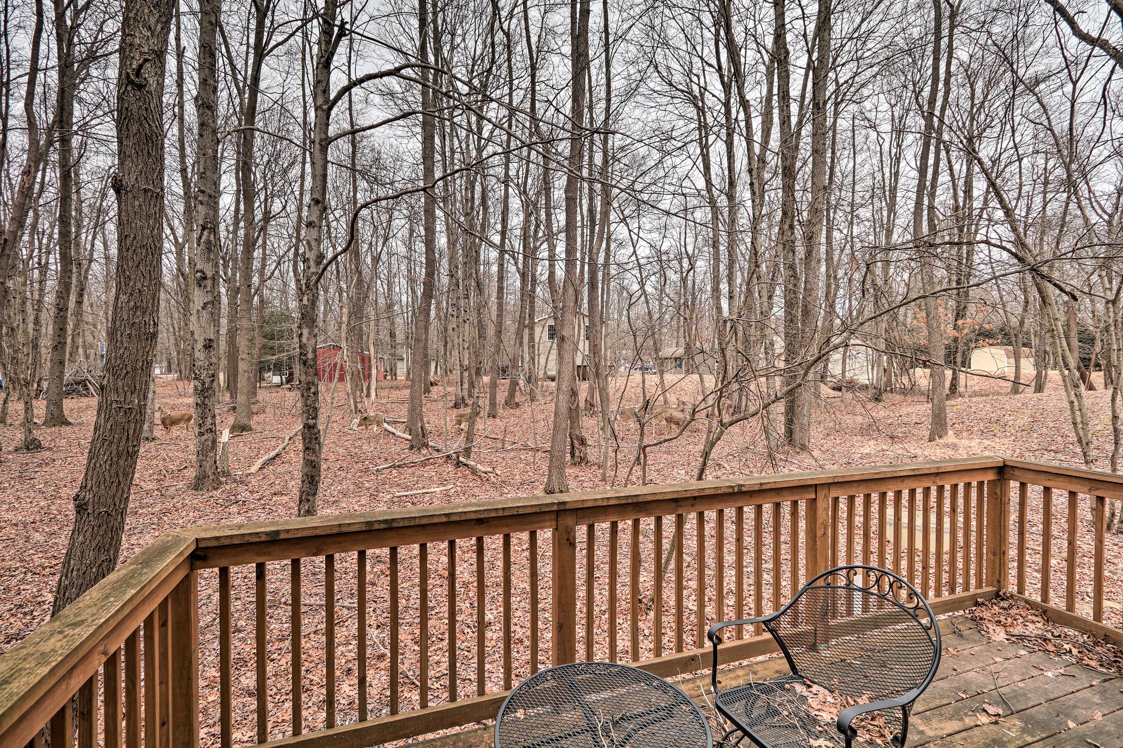 Furnished Deck | Outdoor Dining | Grill