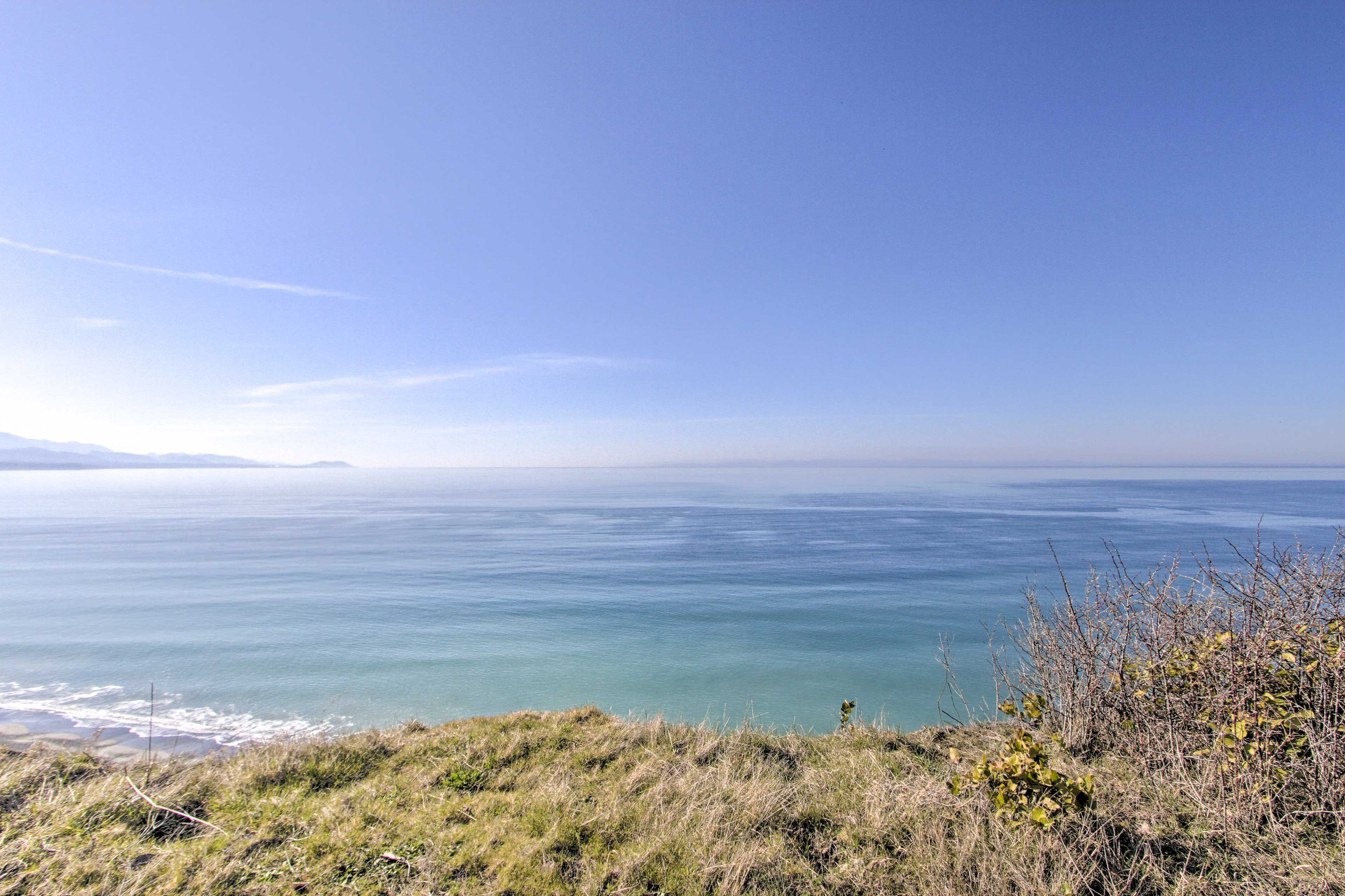 Local Attraction | Olympic Peninsula