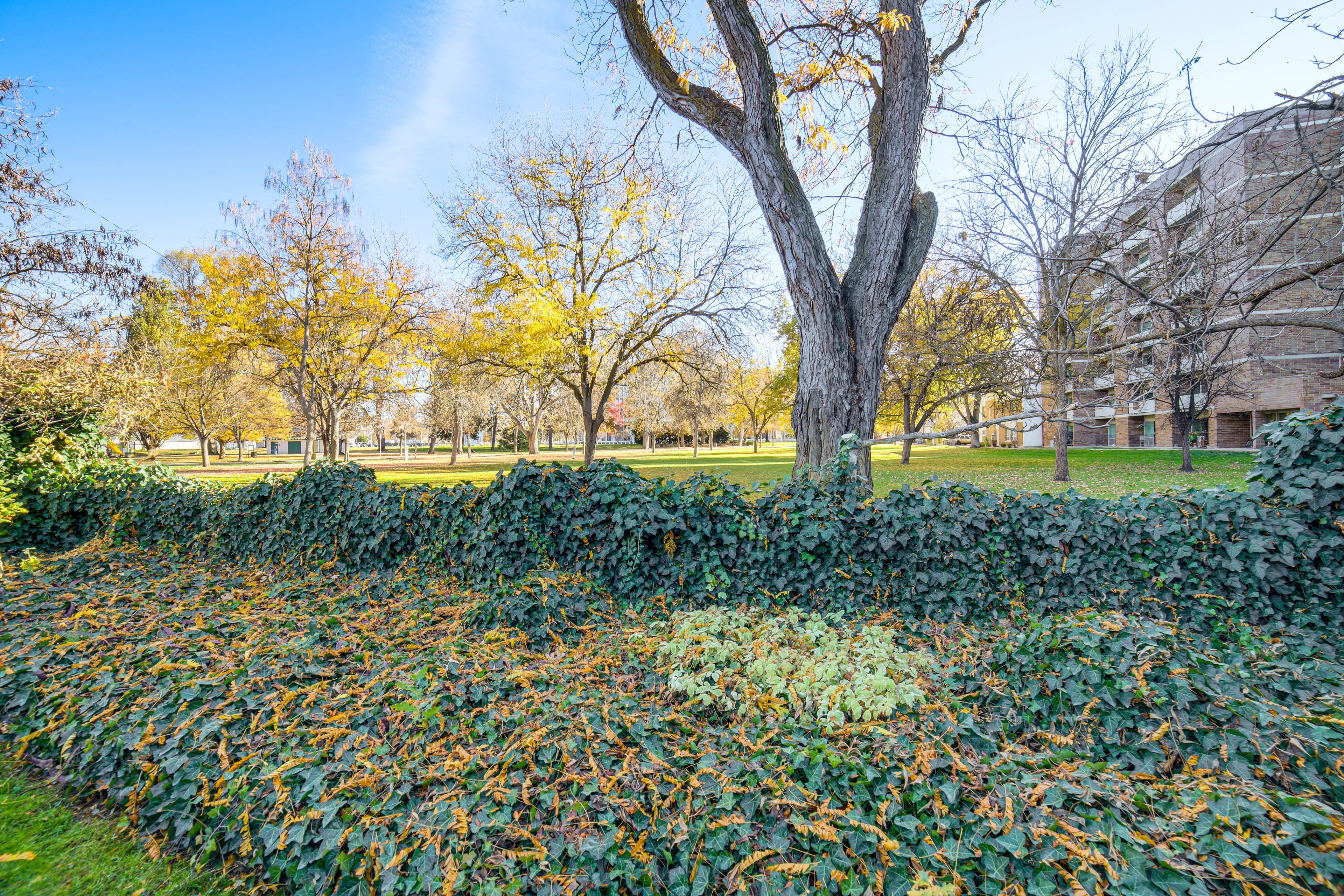 Backyard Views | Walk to Park