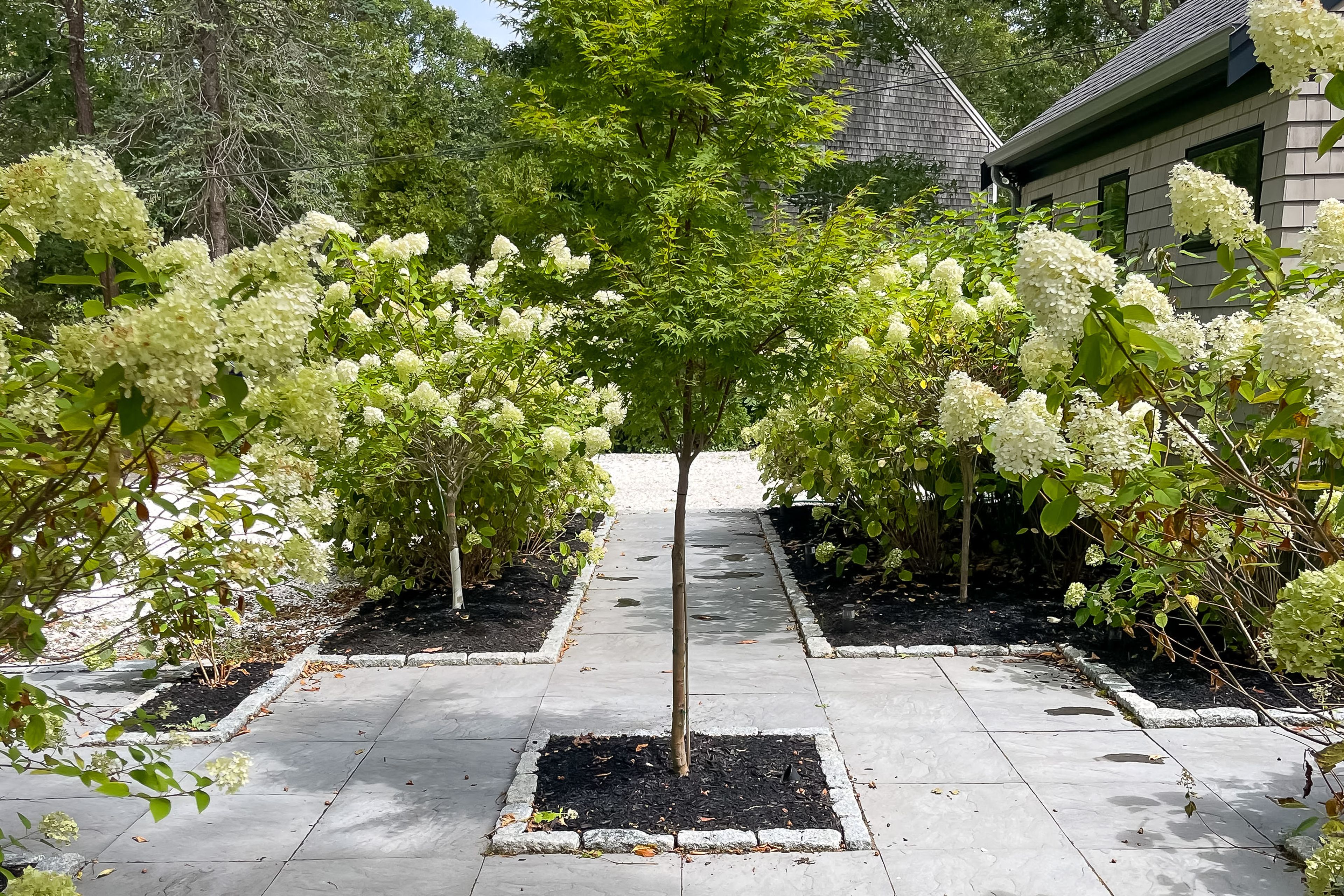 Exterior | Plants/Landscaping