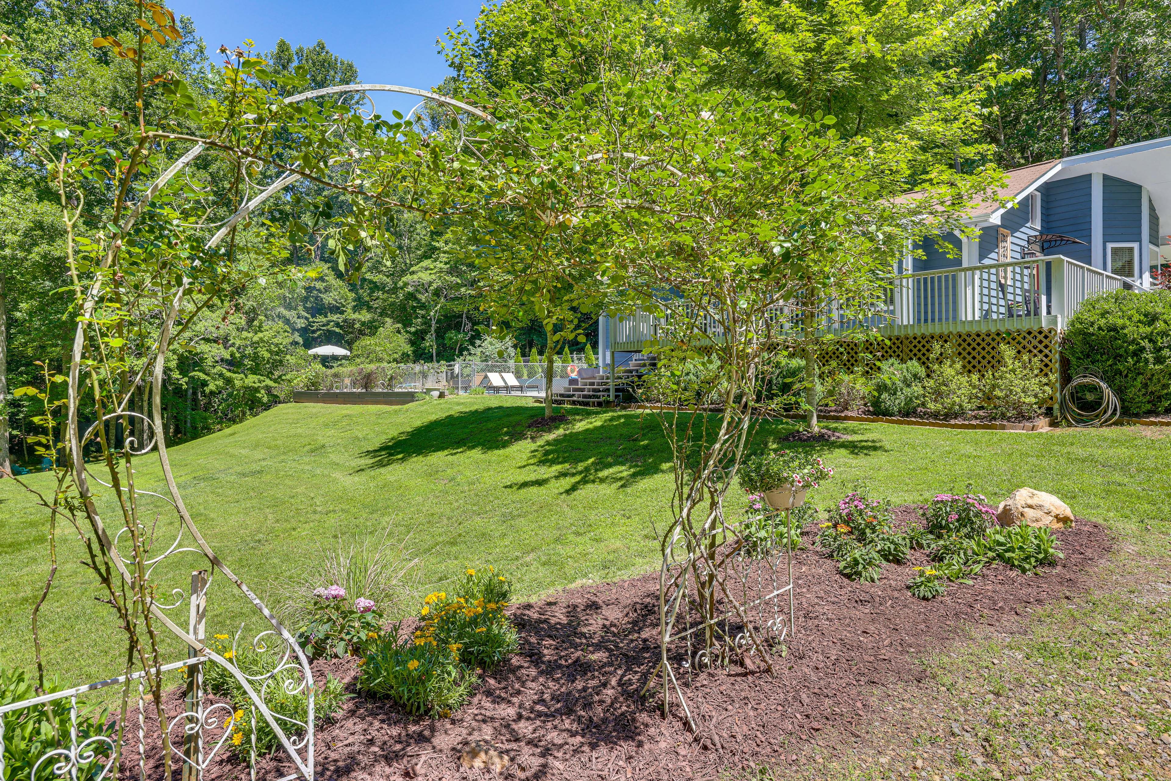 Backyard