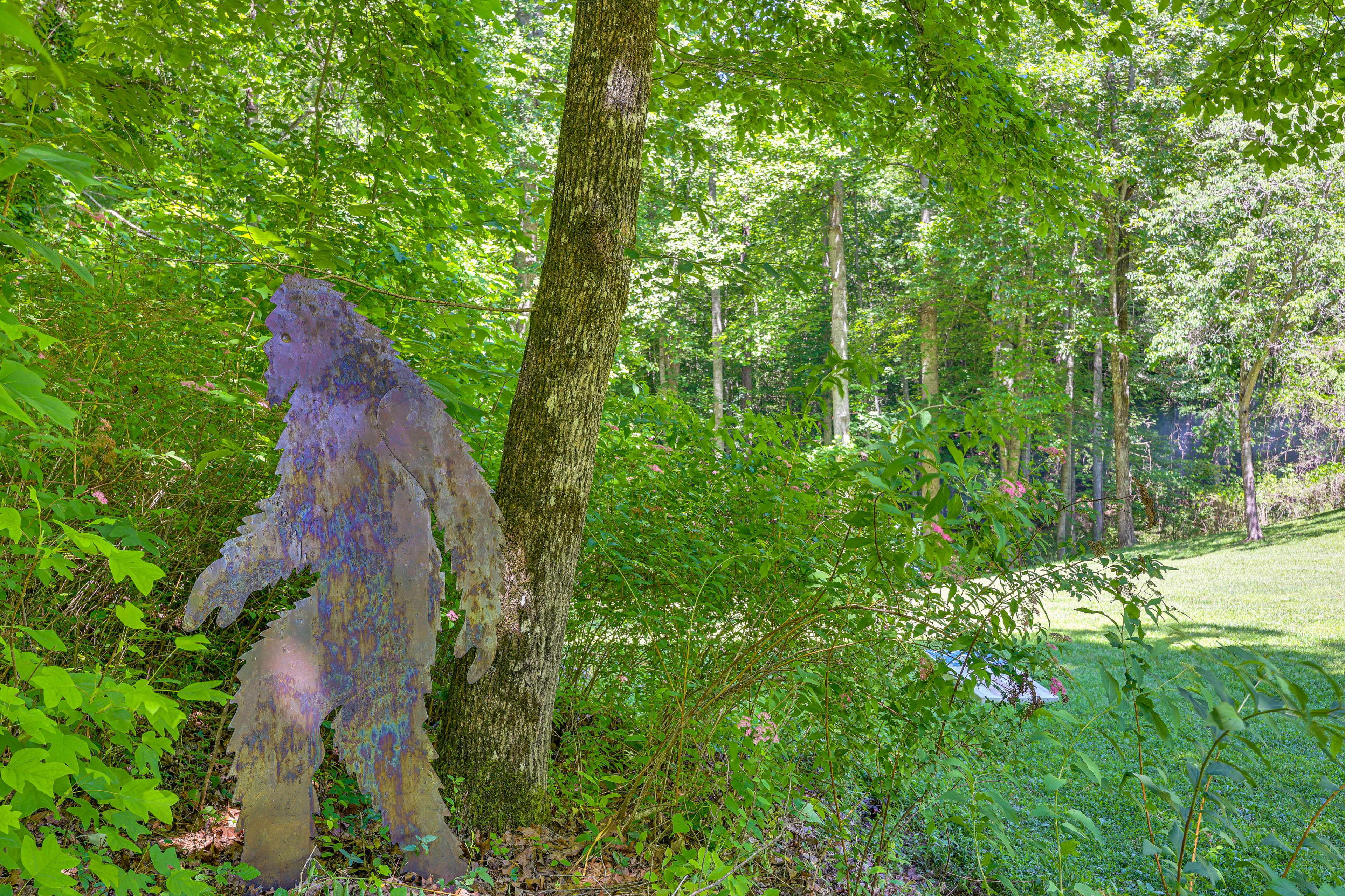 Image 31