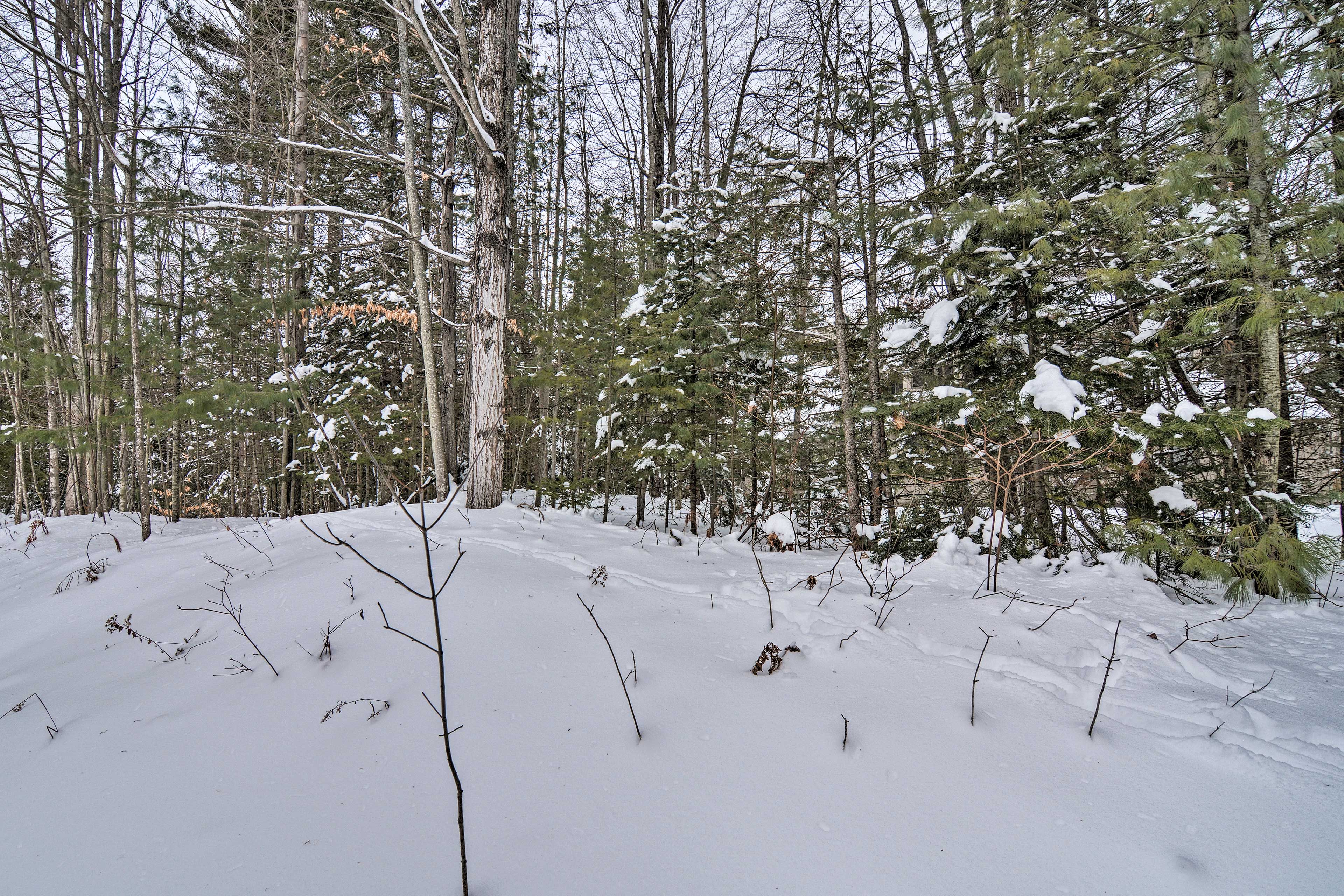 Wake up to wooded views each morning.