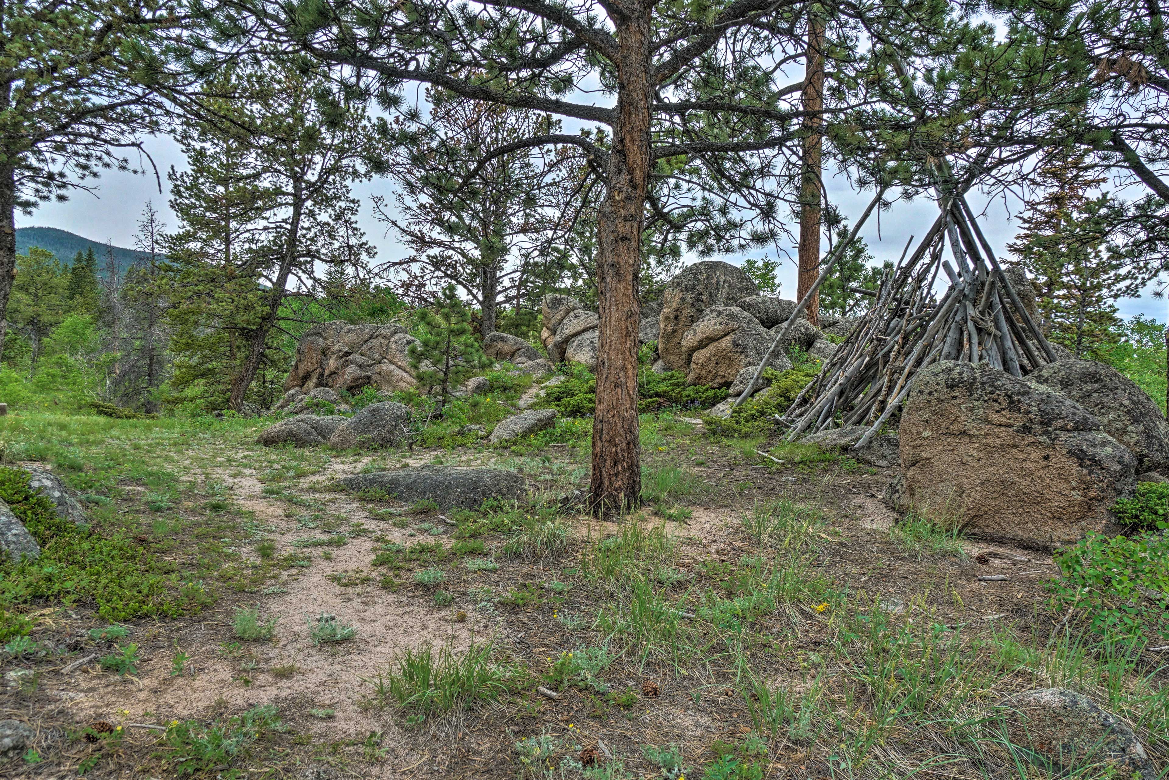 Image 34