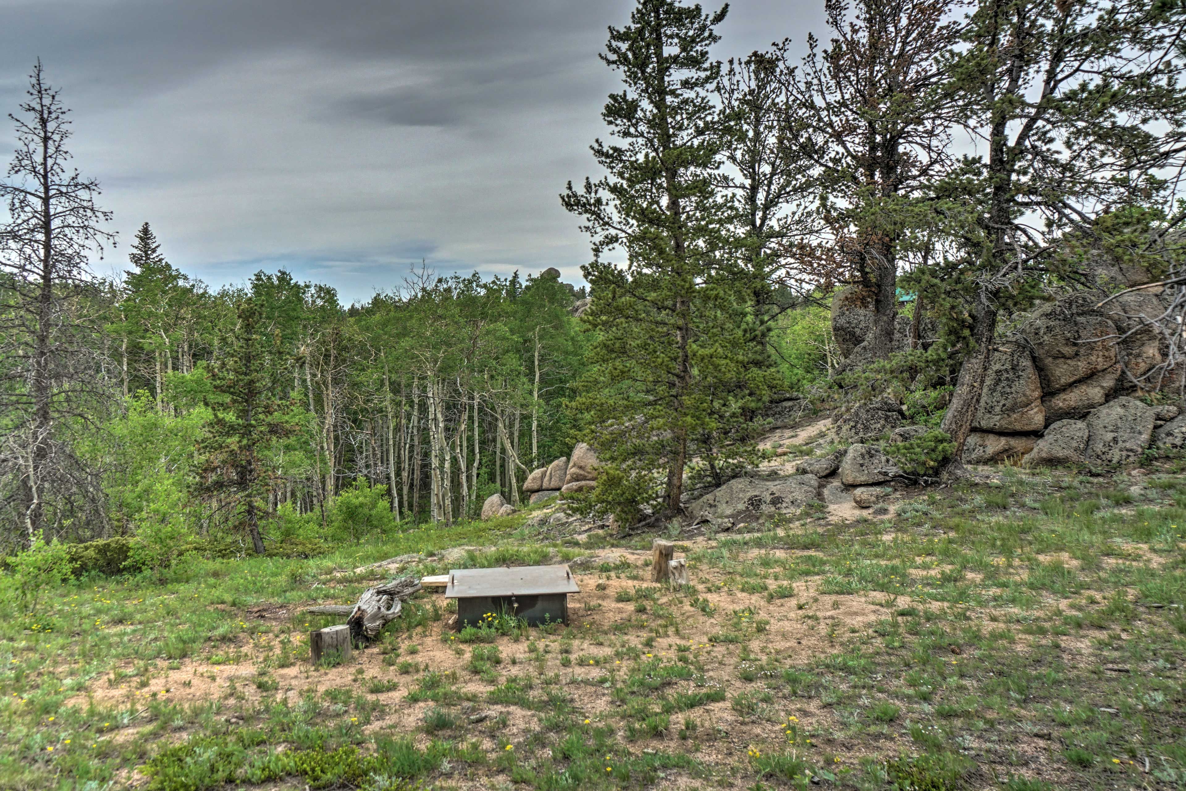 Image 35