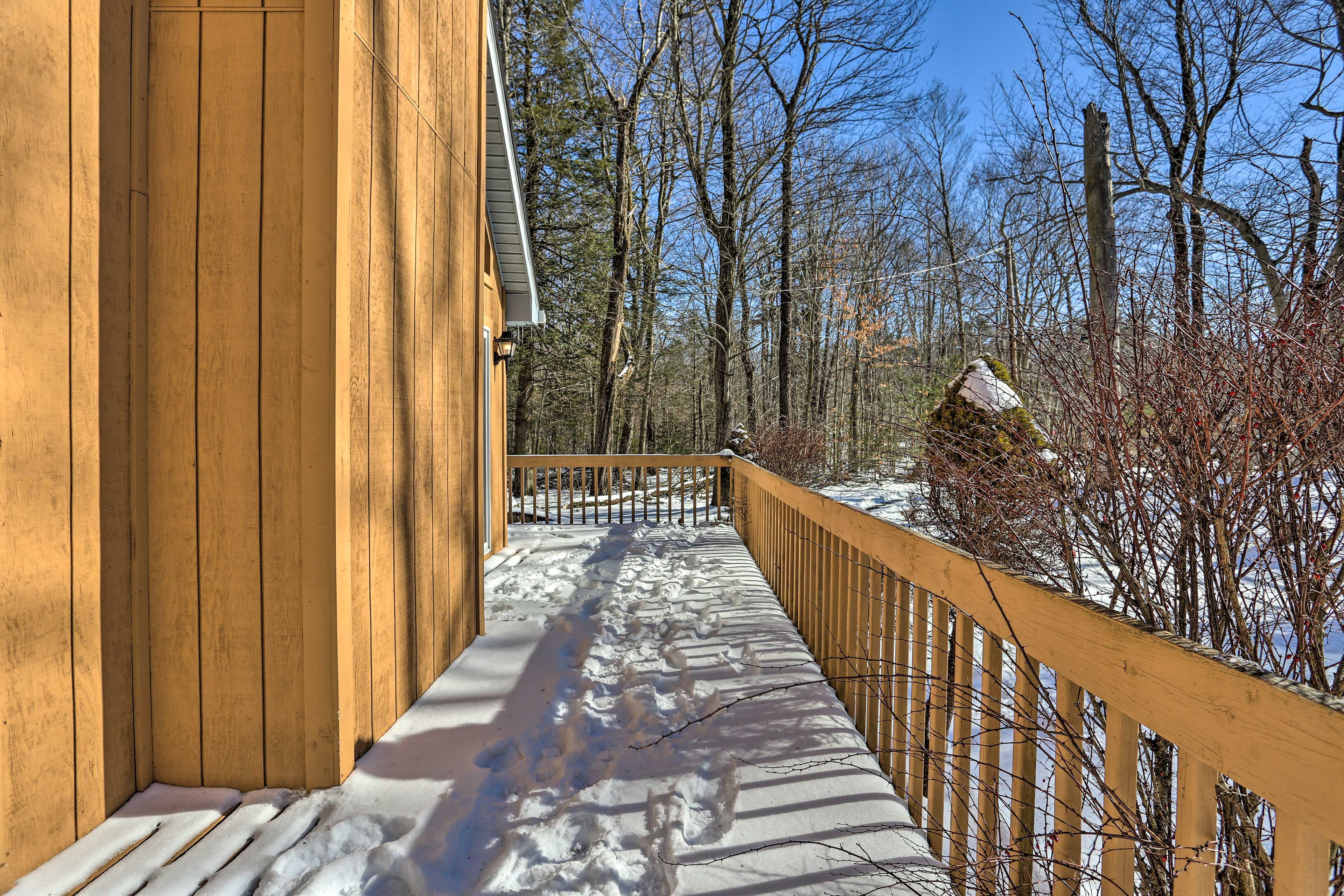 Serene woods surround you!