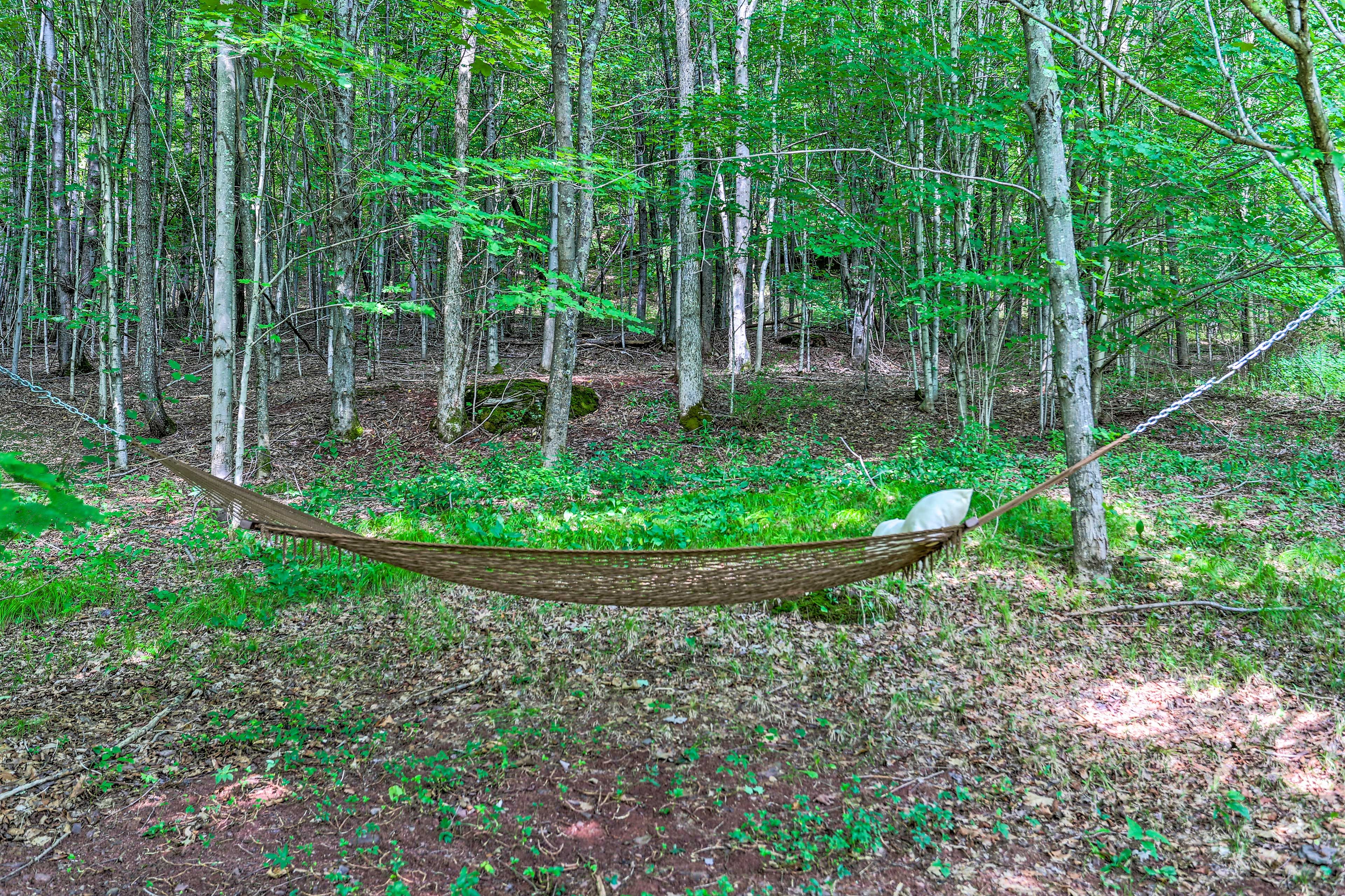 Image 33
