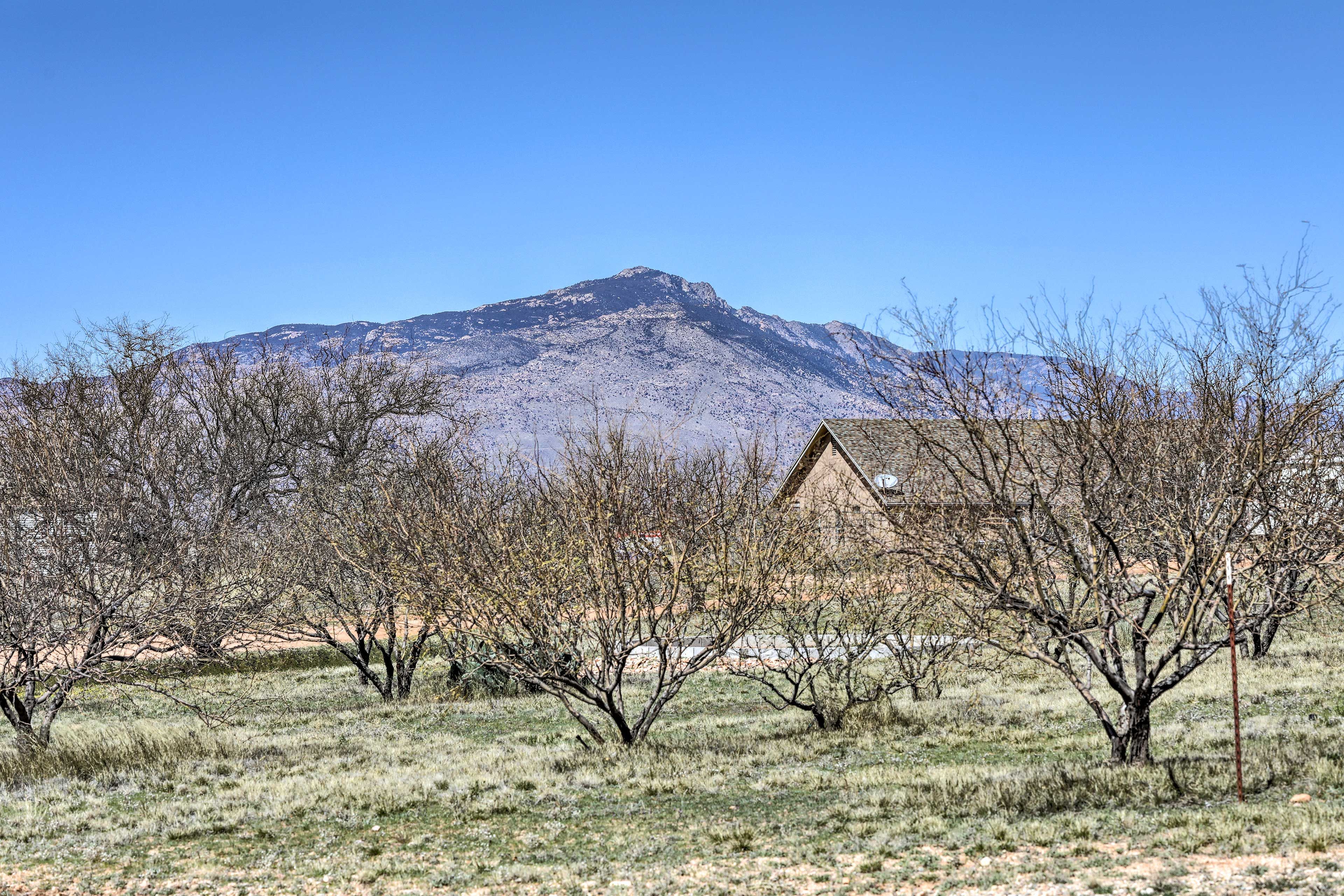 Mountain Views