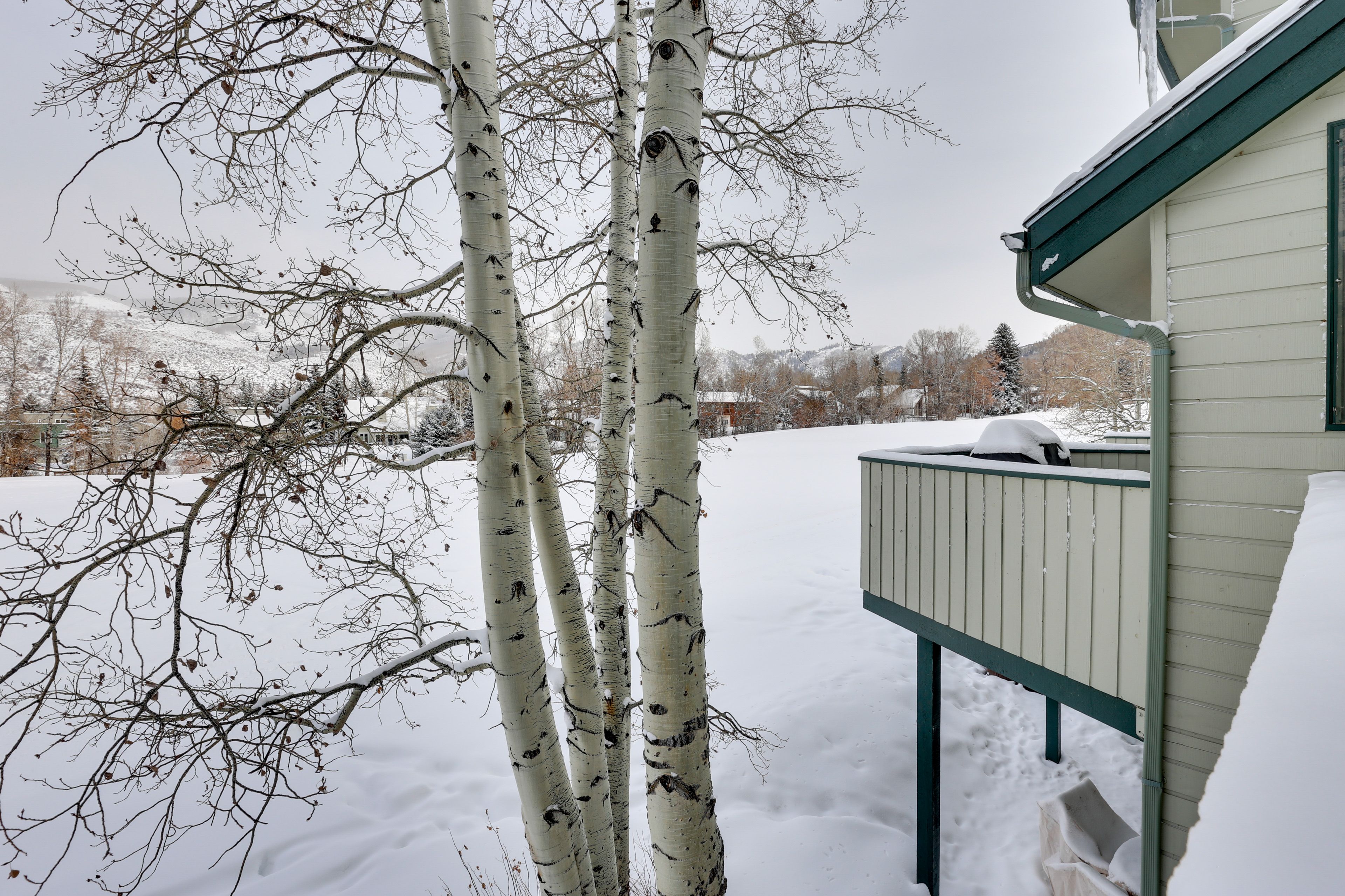 Balcony | Gas Grill | Mountain Views