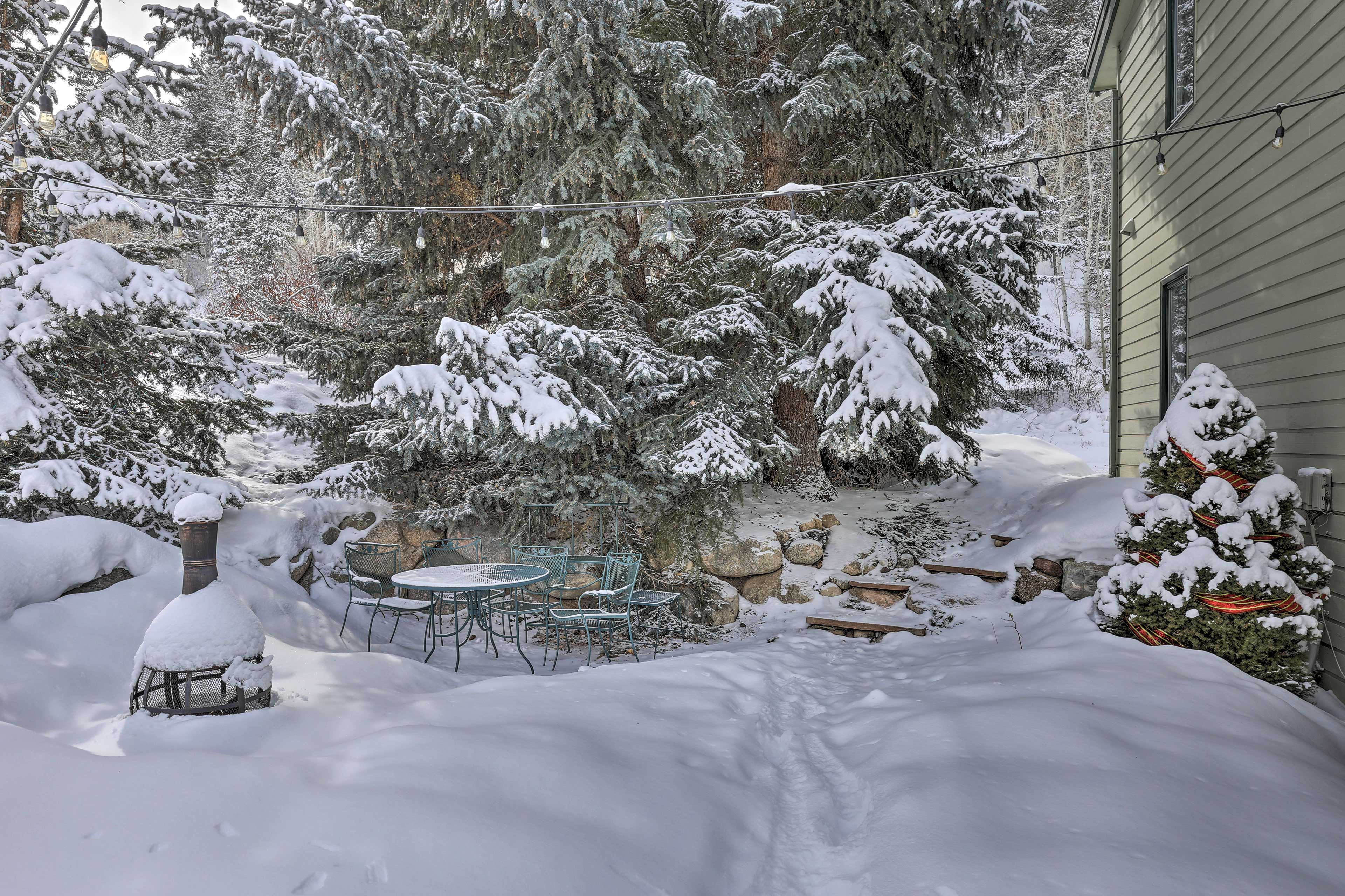 Make snow angels here in winter months.