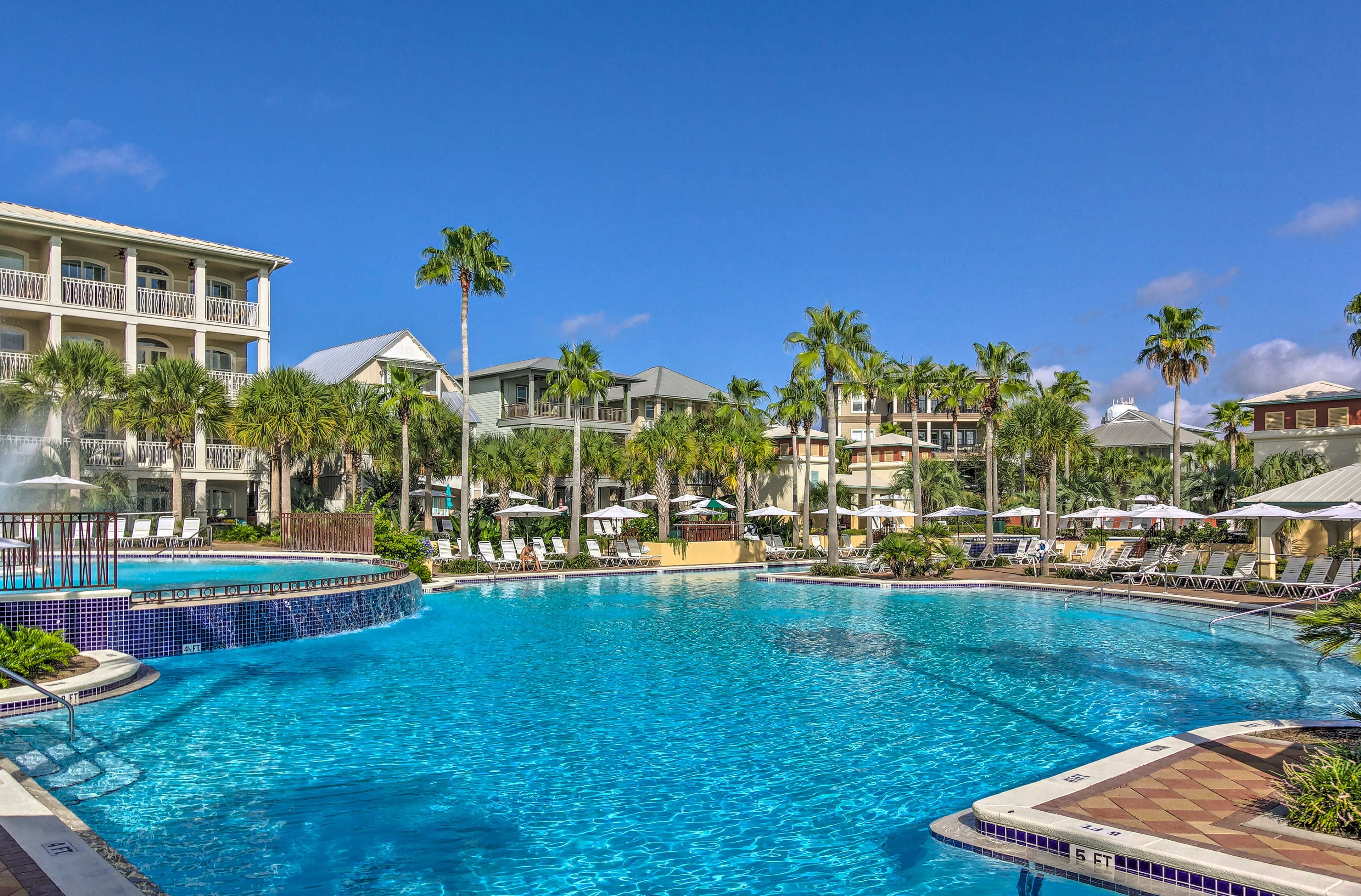 Lofty palm trees set the scene for your poolside escape.