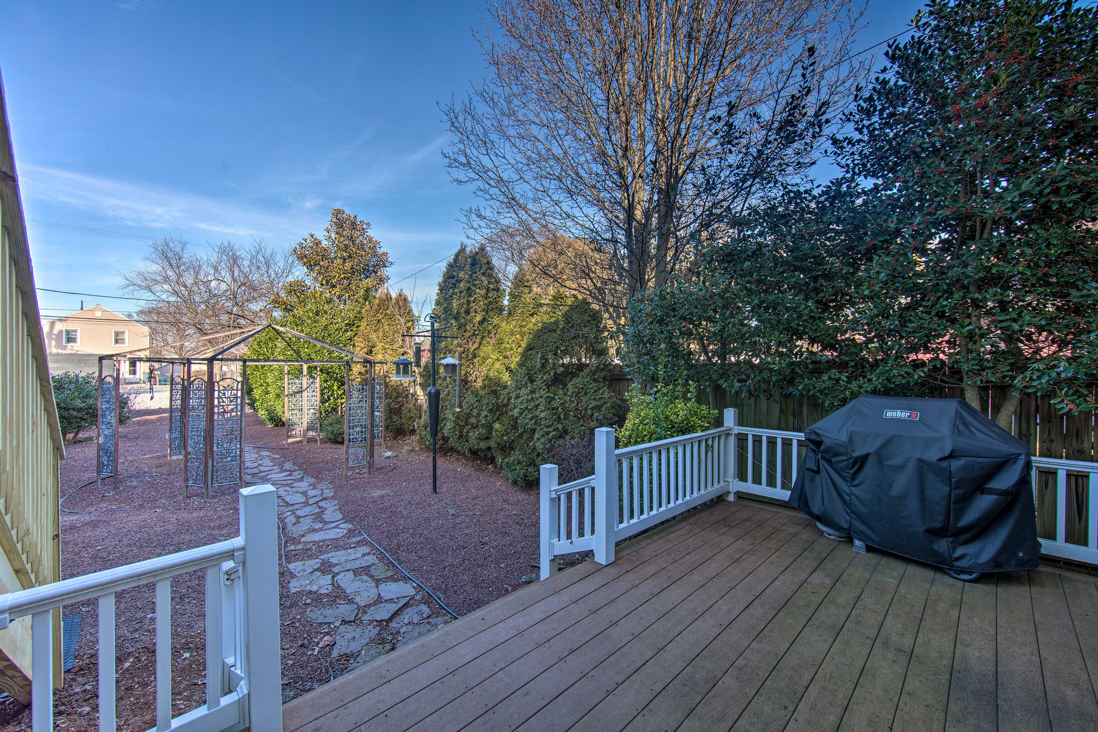 Backyard