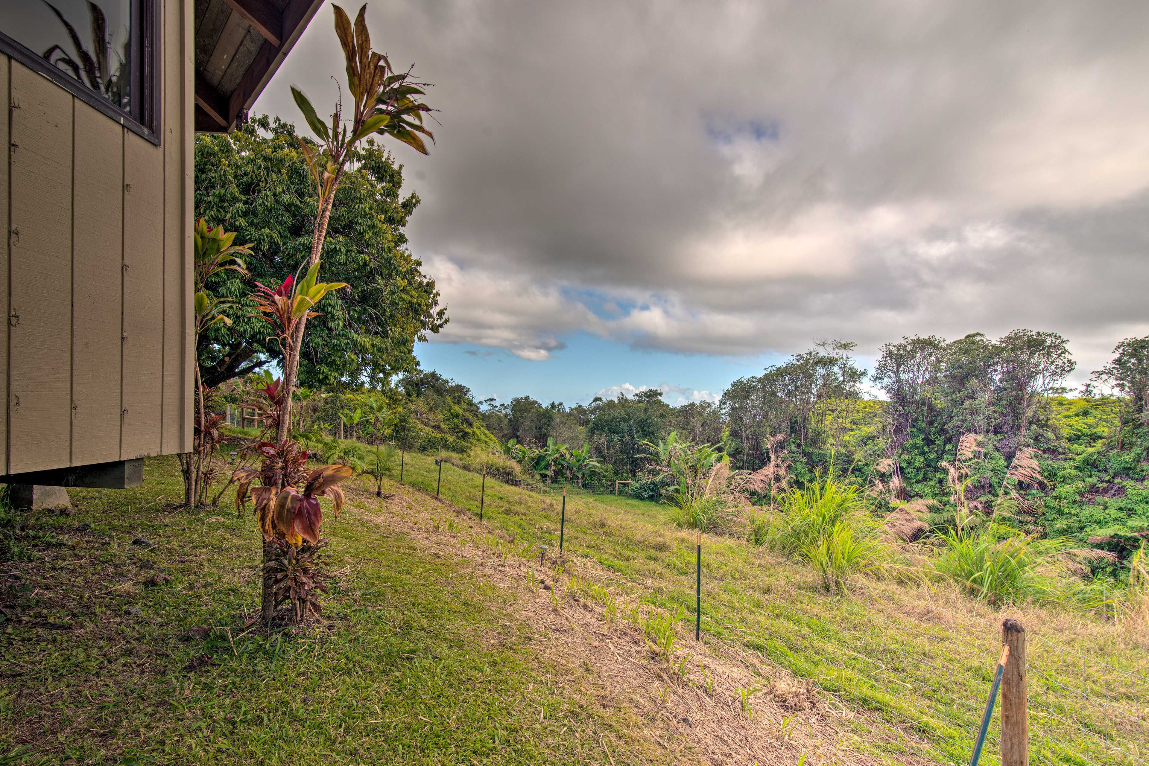 Enjoy the forest views.