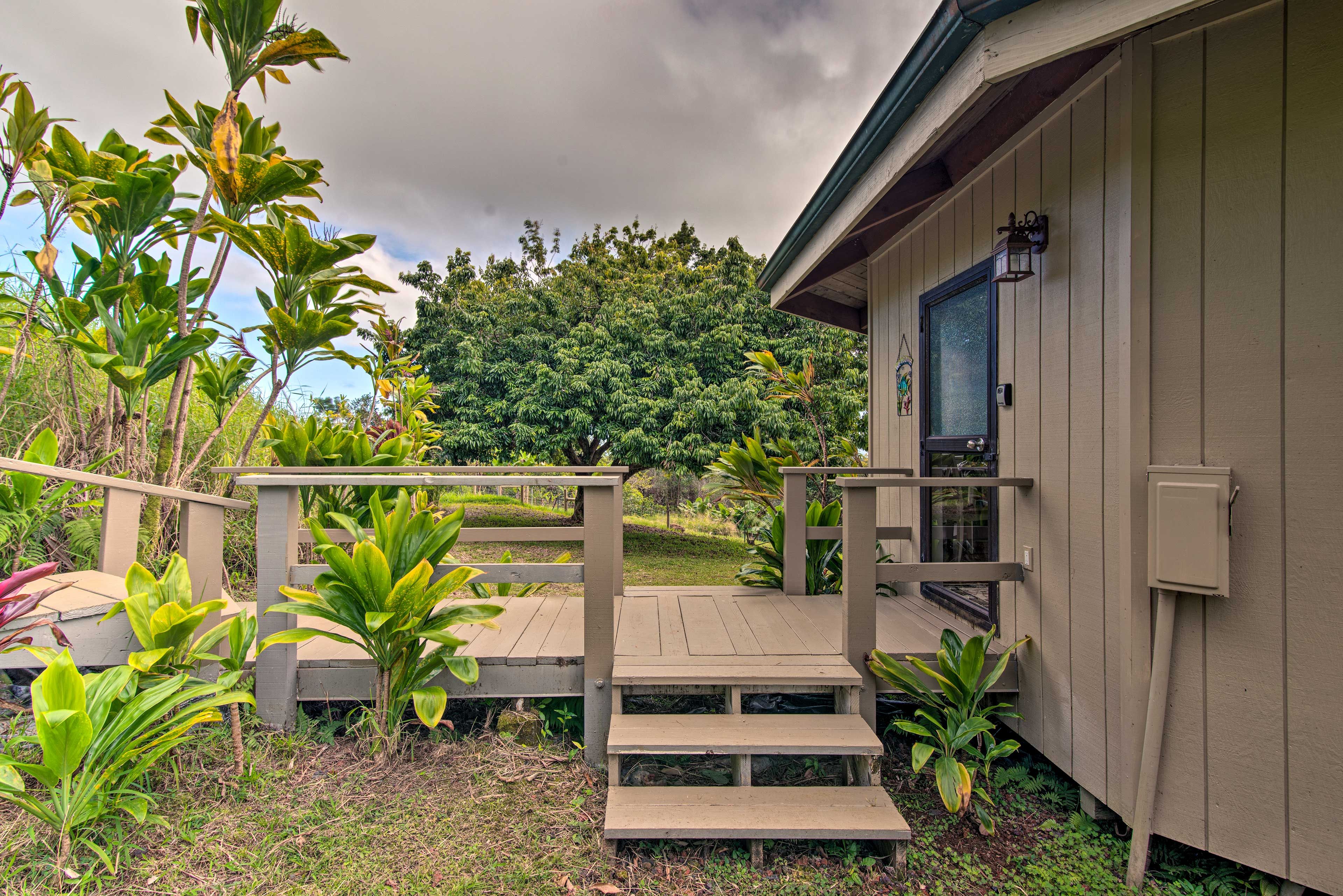 The tropical surroundings await!