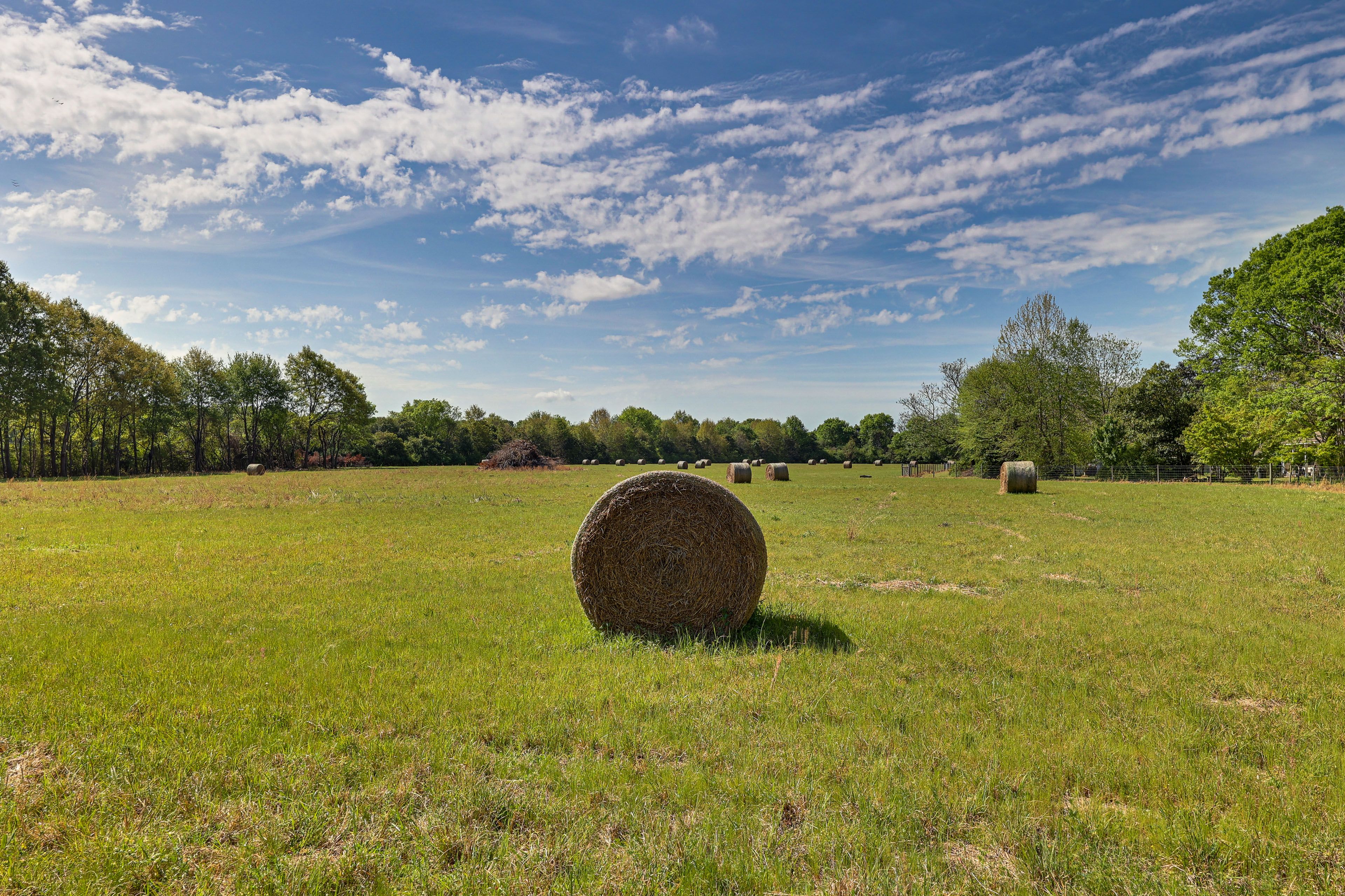 Image 28