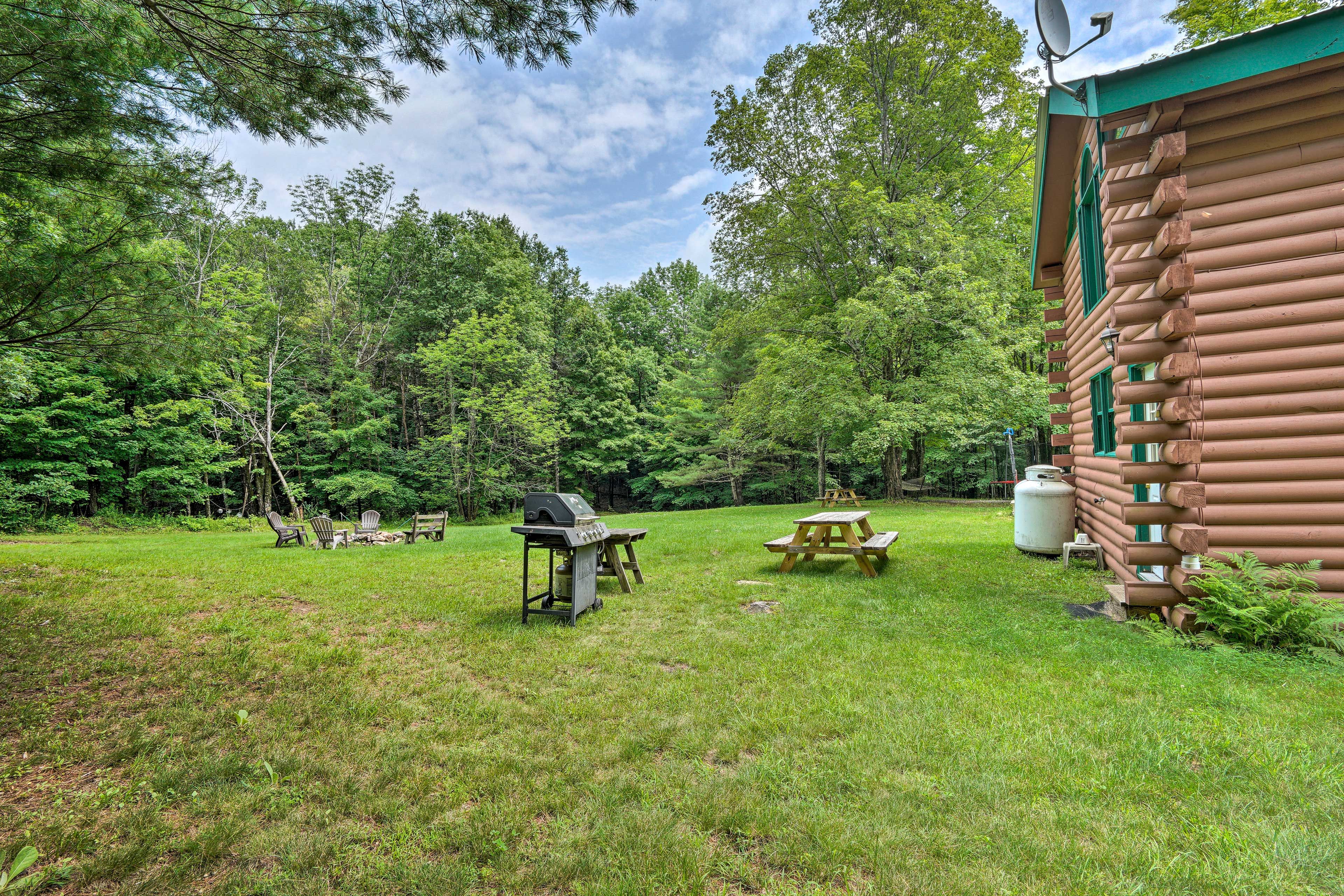 Outdoor Space | 7 Acres | Gas Grill