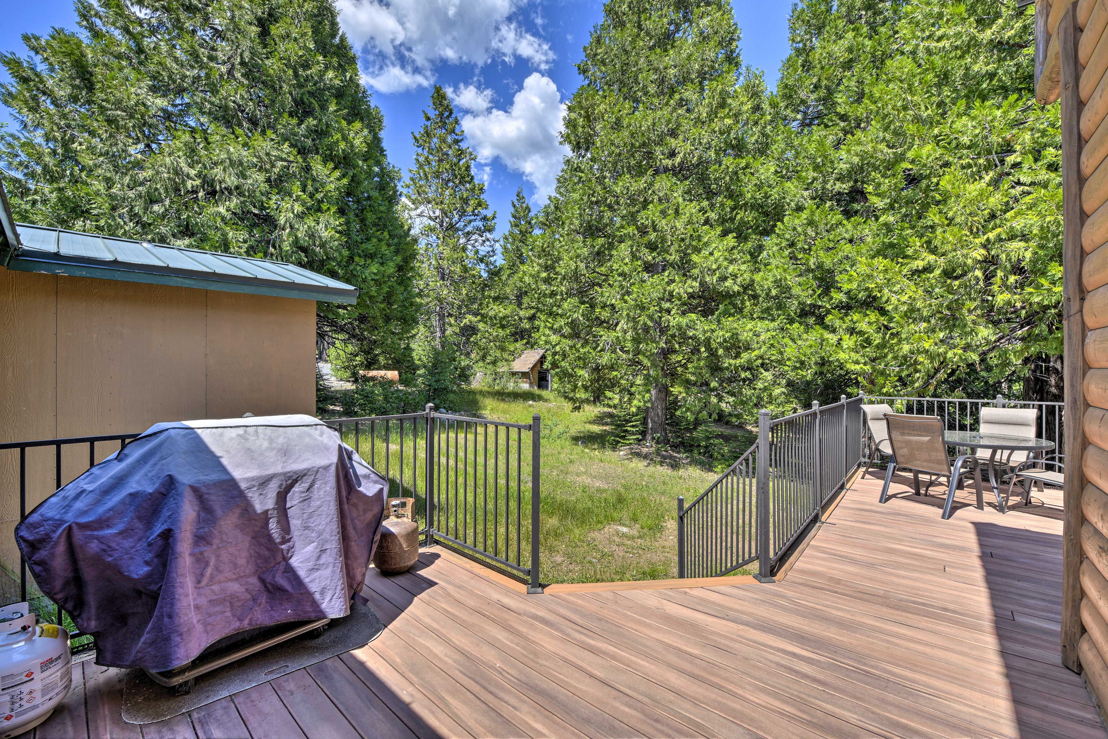 Furnished Deck | Outdoor Dining | Seasonal Gas Grill (Unavailable Nov-March)