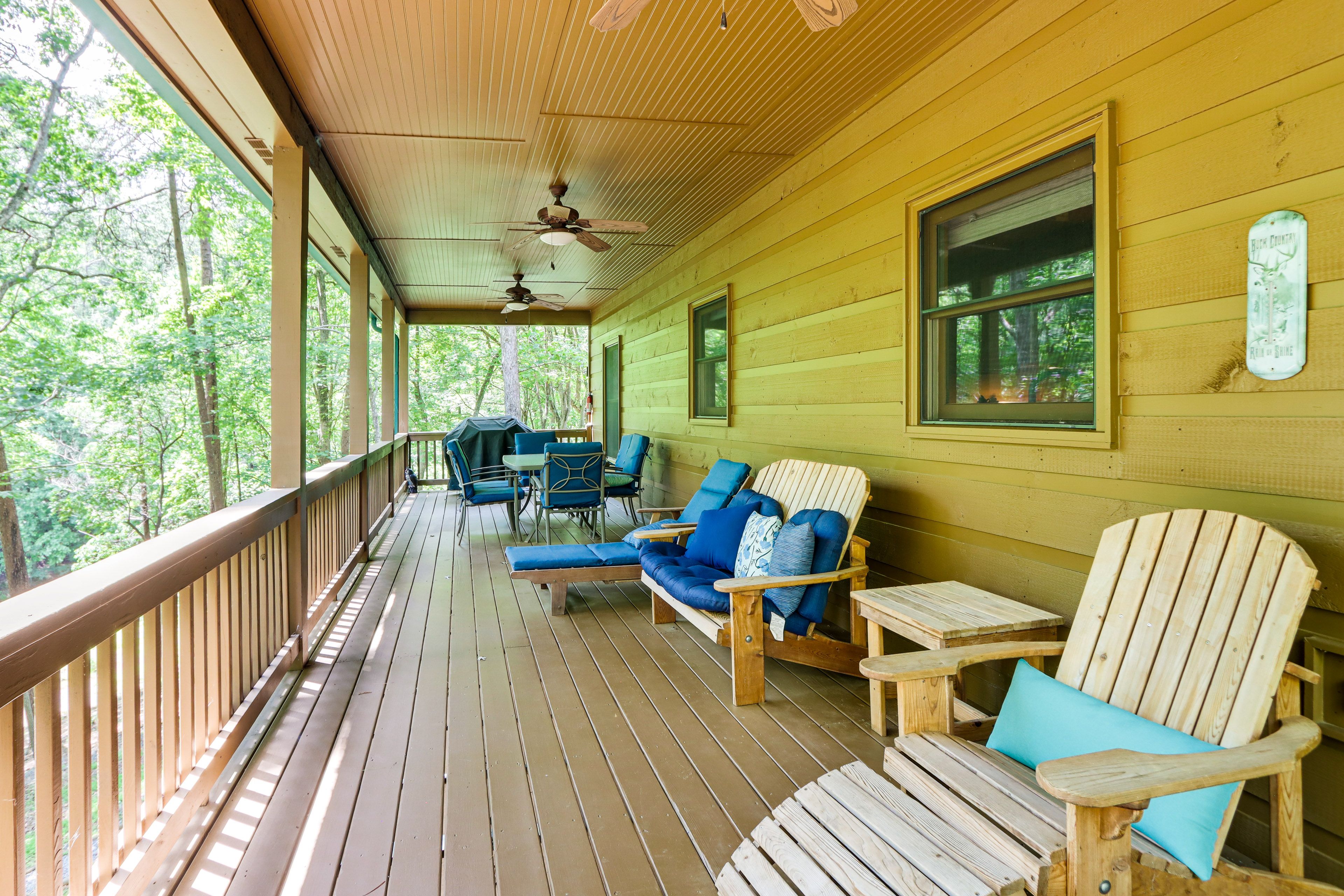 Rear Top Deck | Deer Watching | Relax to Nature Sounds