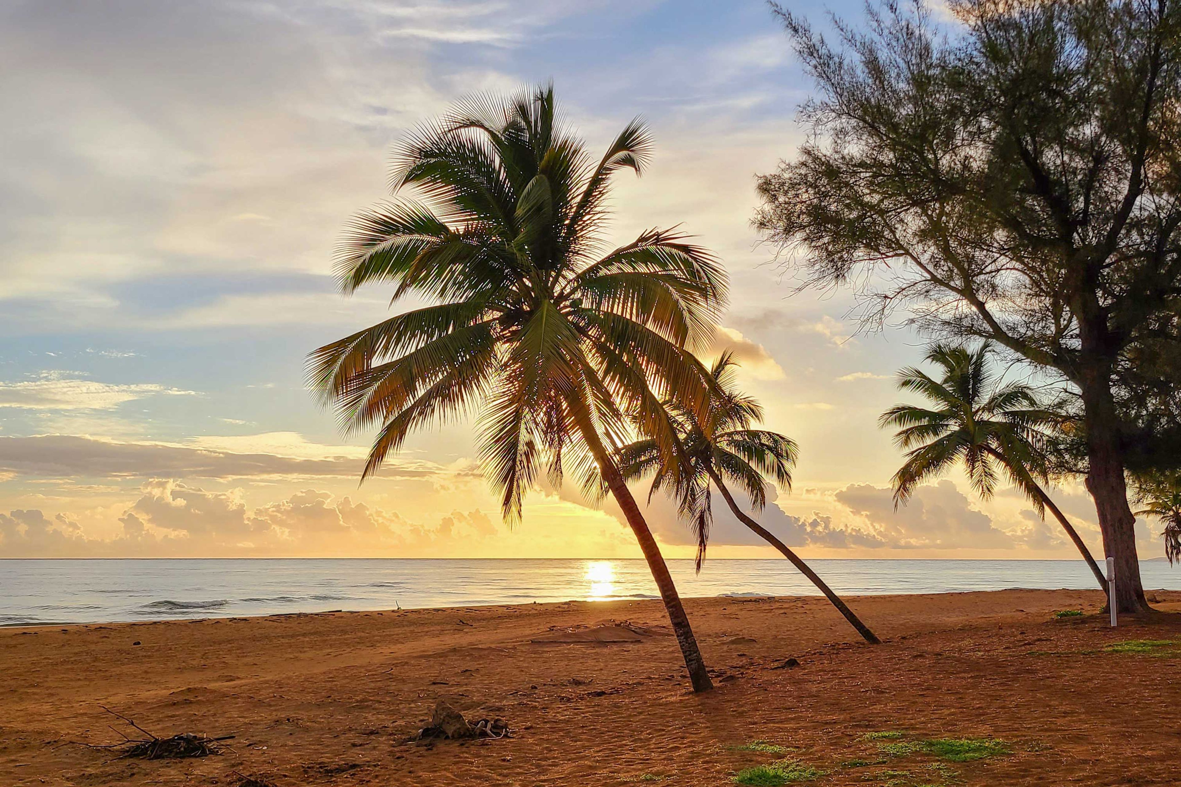 On-Site Beach Access