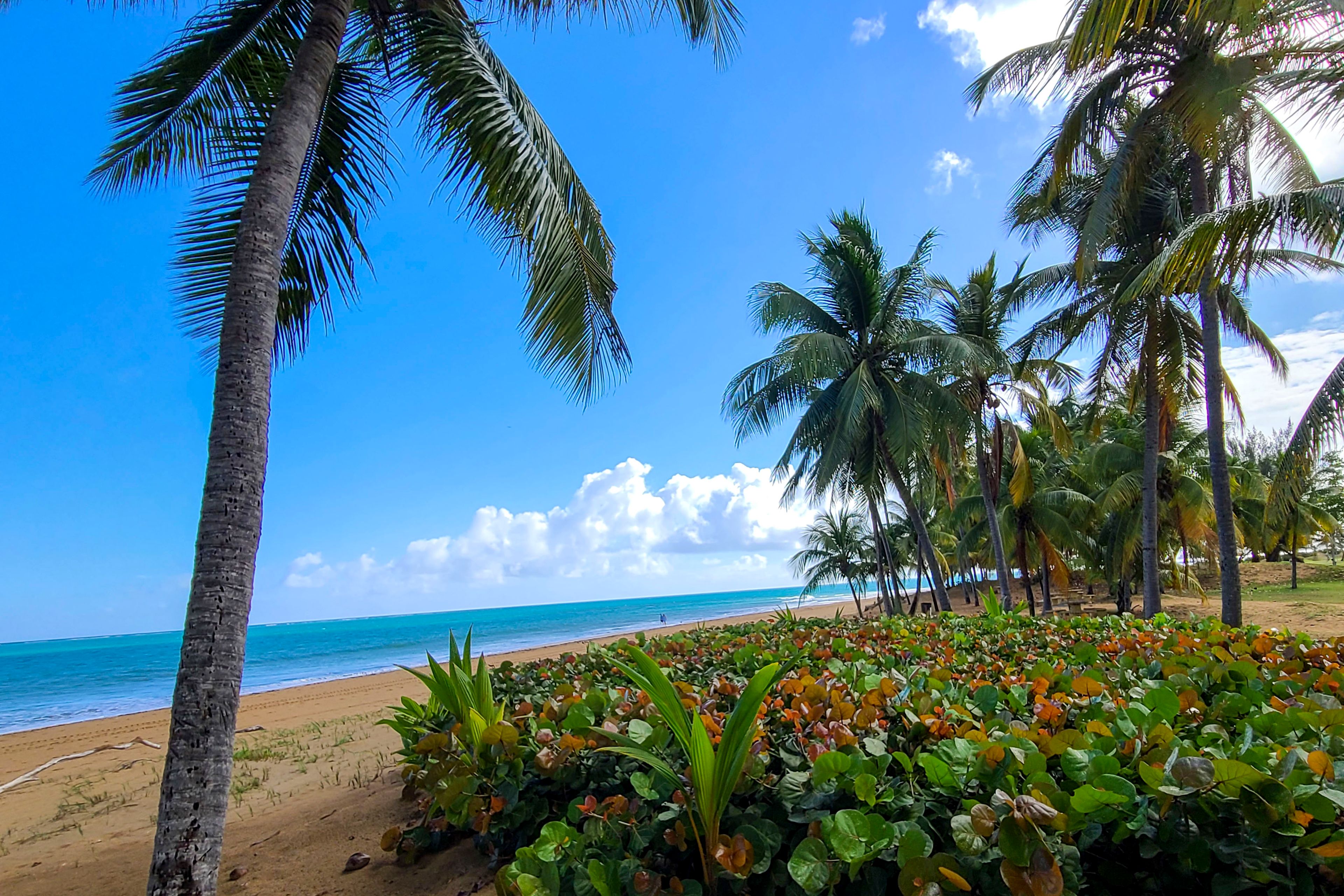 On-Site Beach Access
