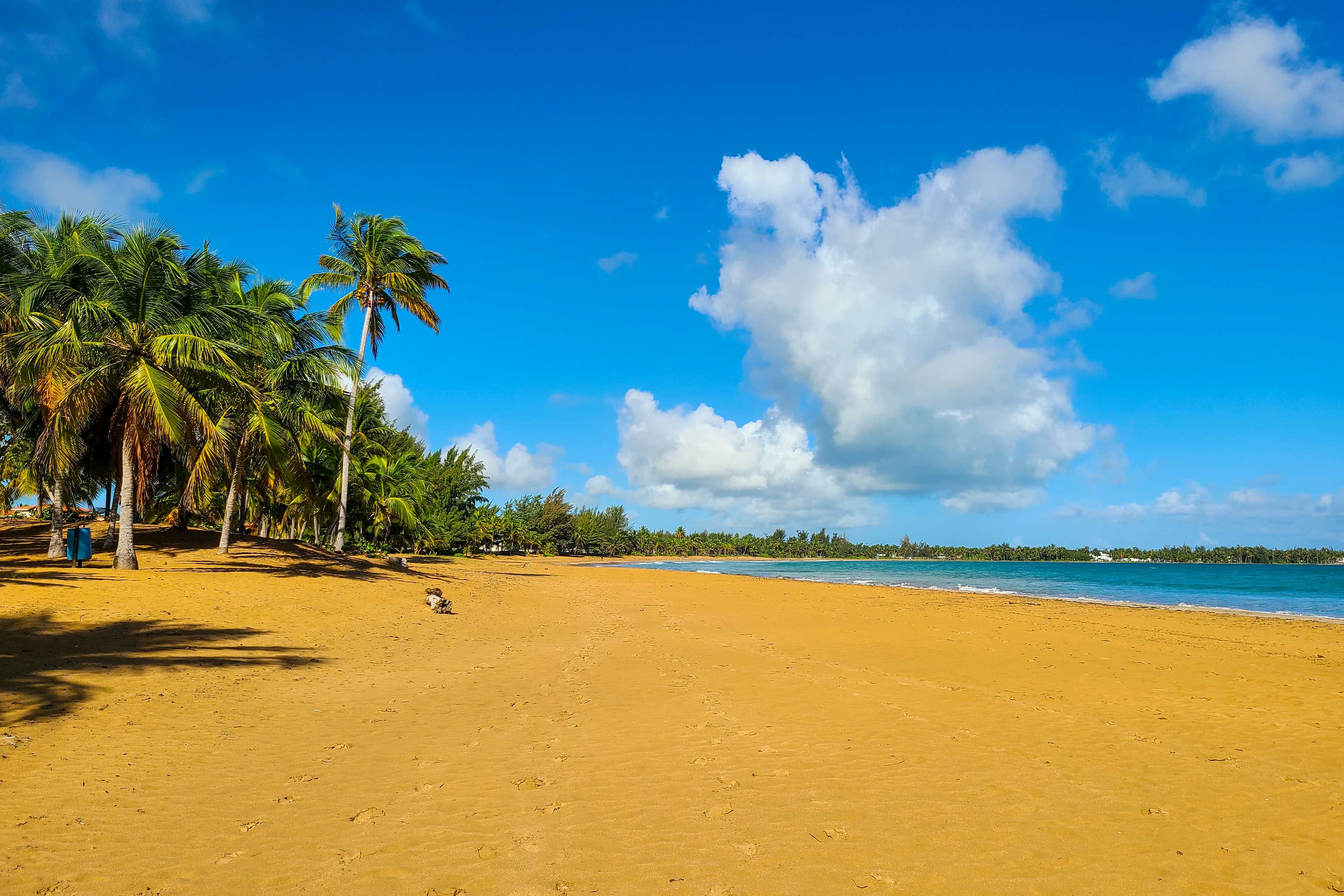 On-Site Beach Access