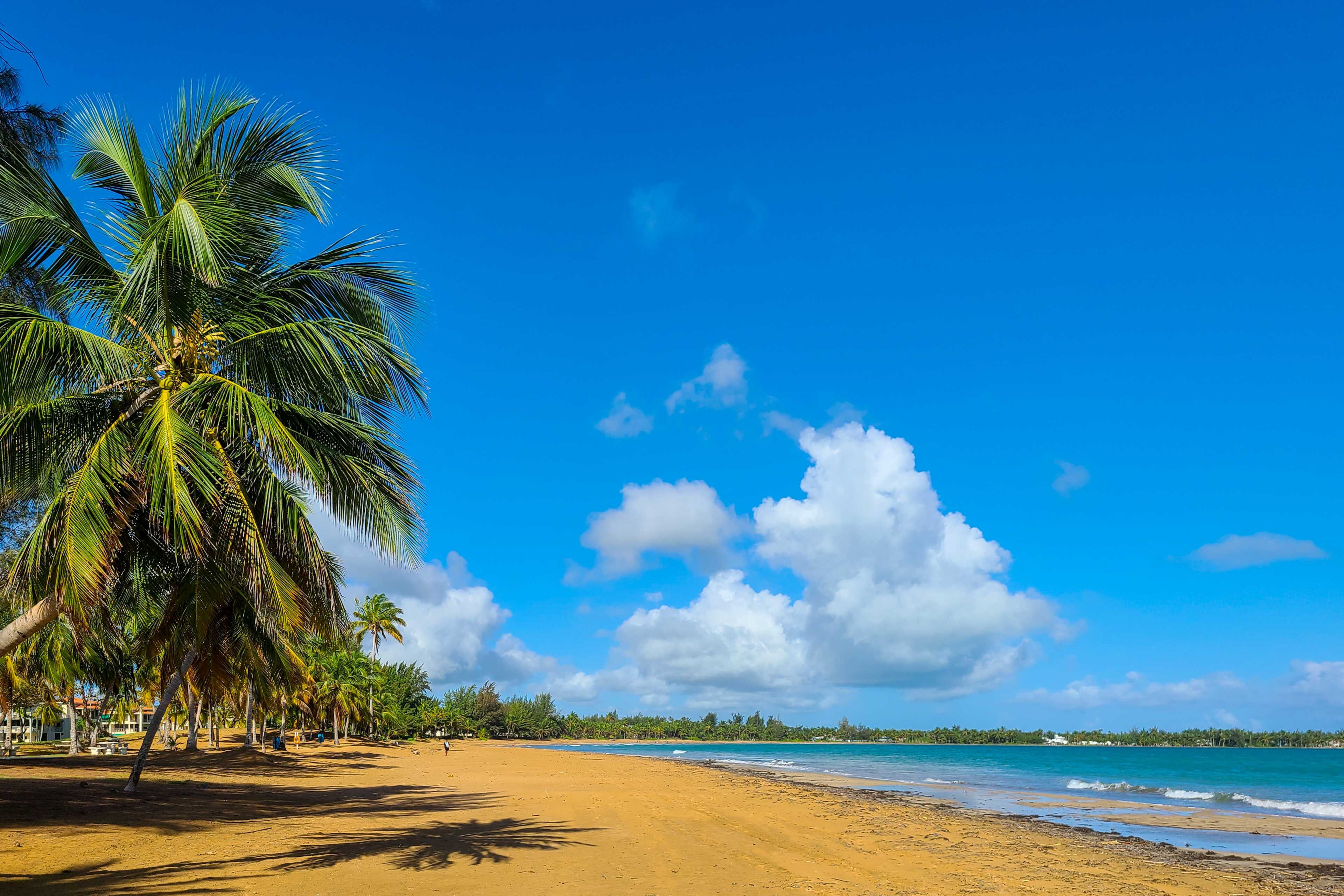 On-Site Beach Access