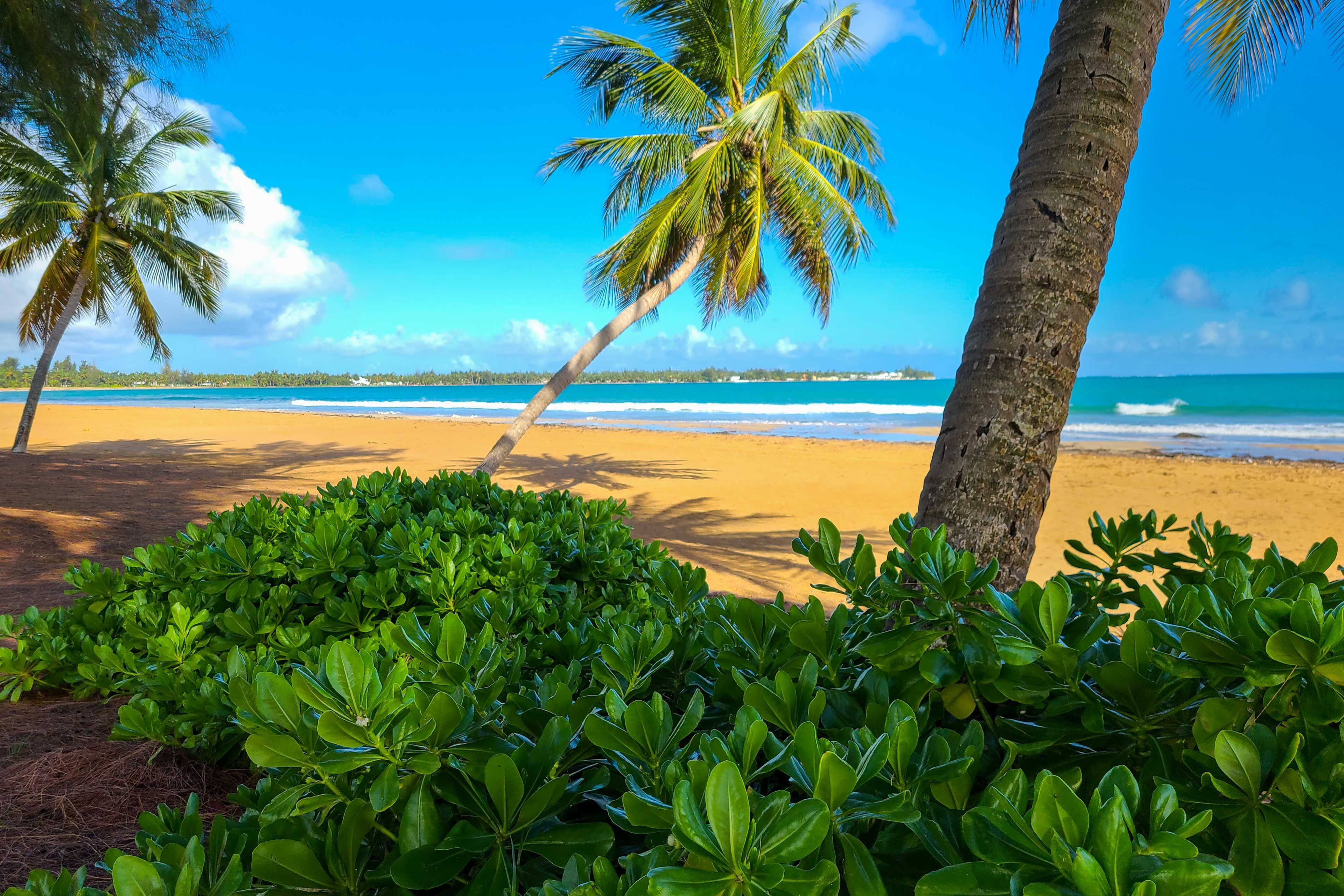 On-Site Beach Access