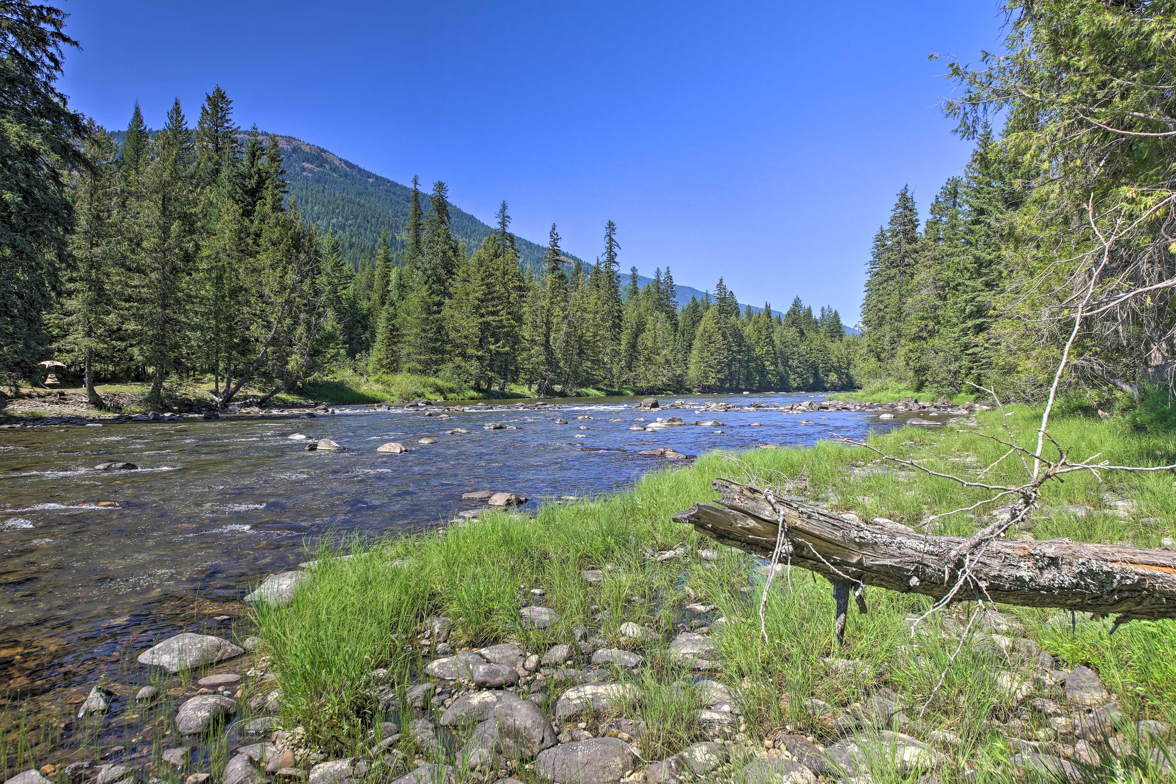 Image 36