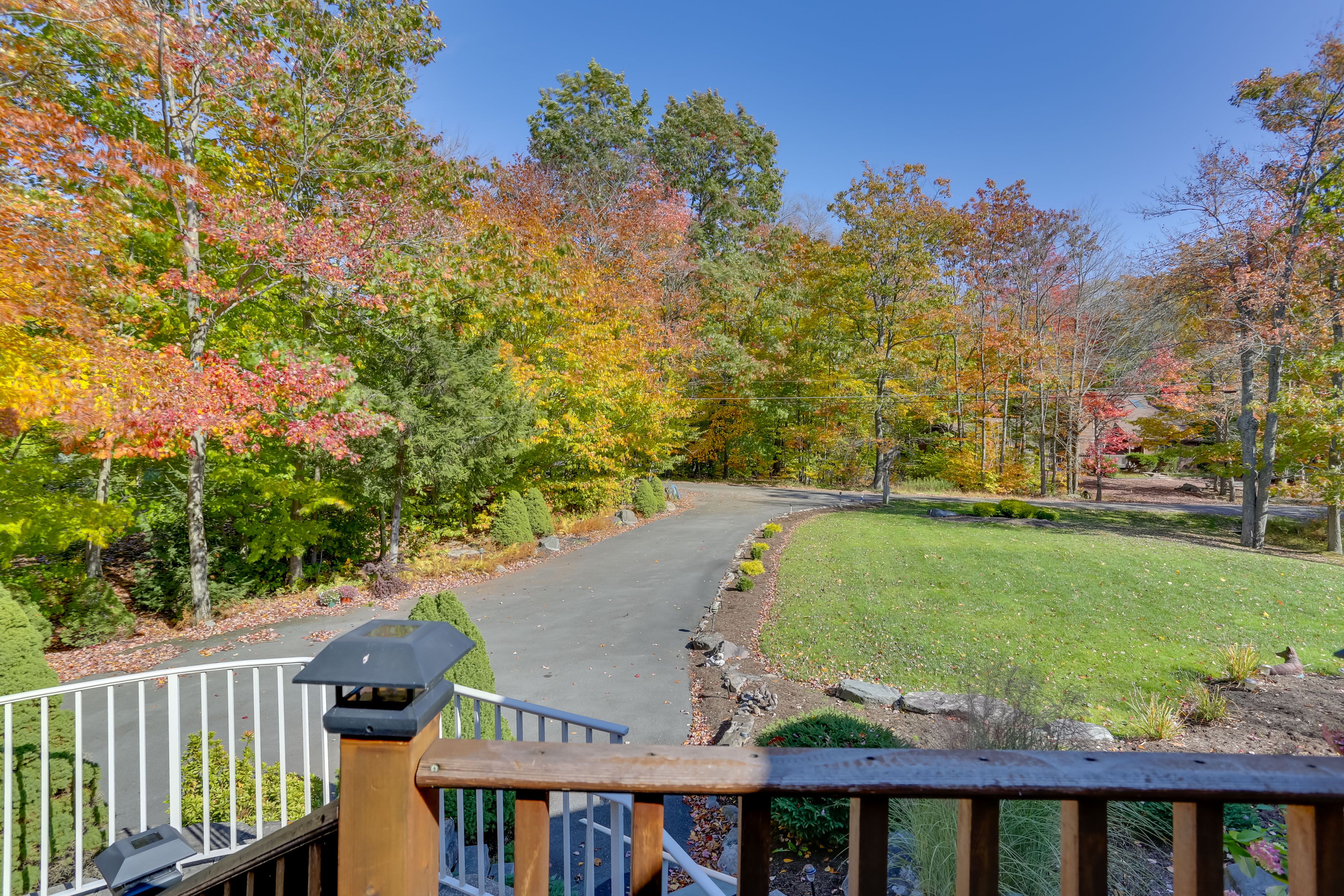 Parking | Driveway (6 vehicles)