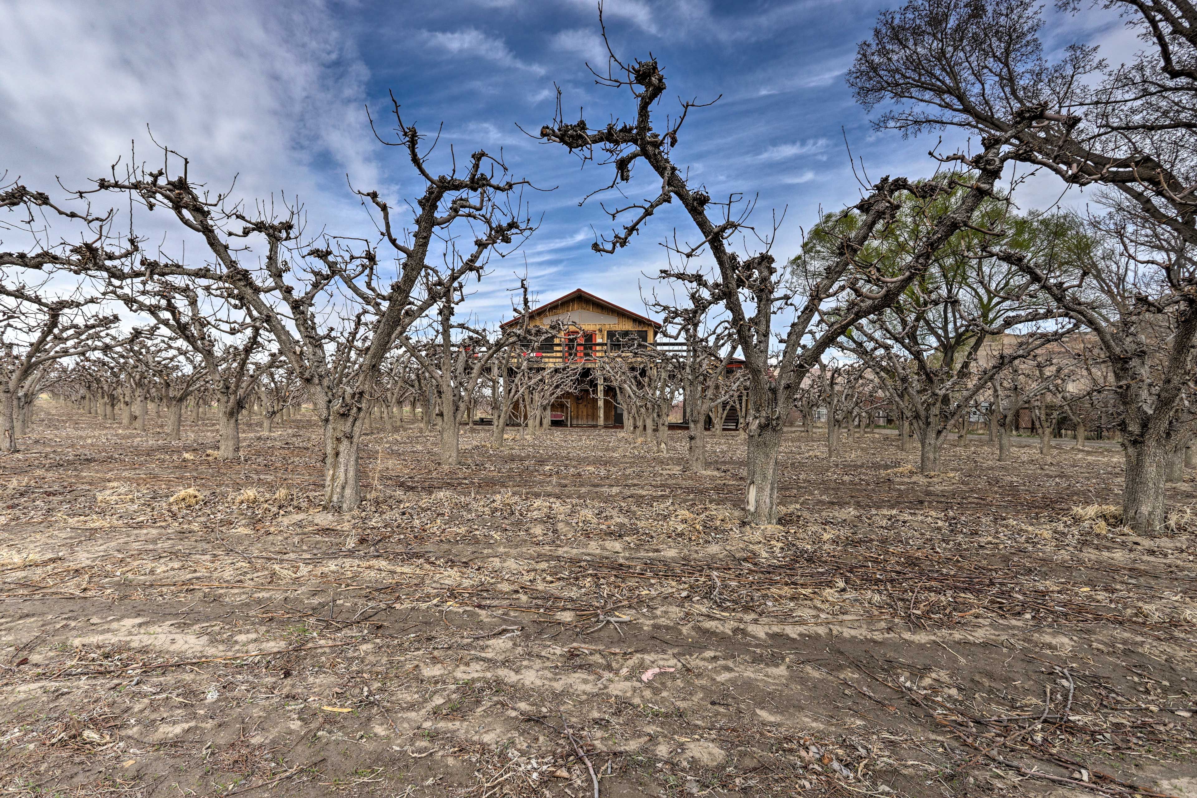 An orchard surrounds this unique getaway!
