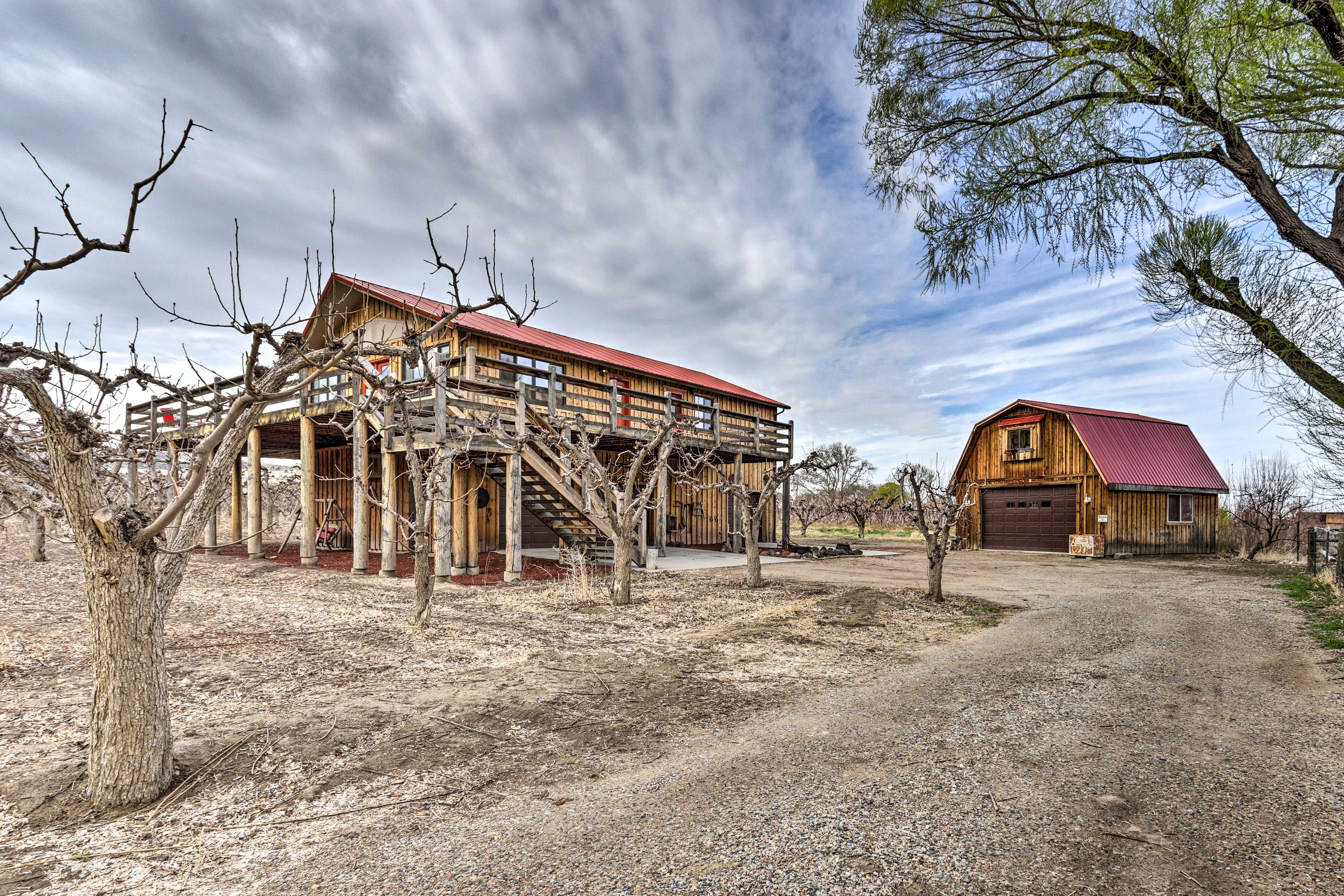 There's nothing more unique than this cottage's location: a working orchard!