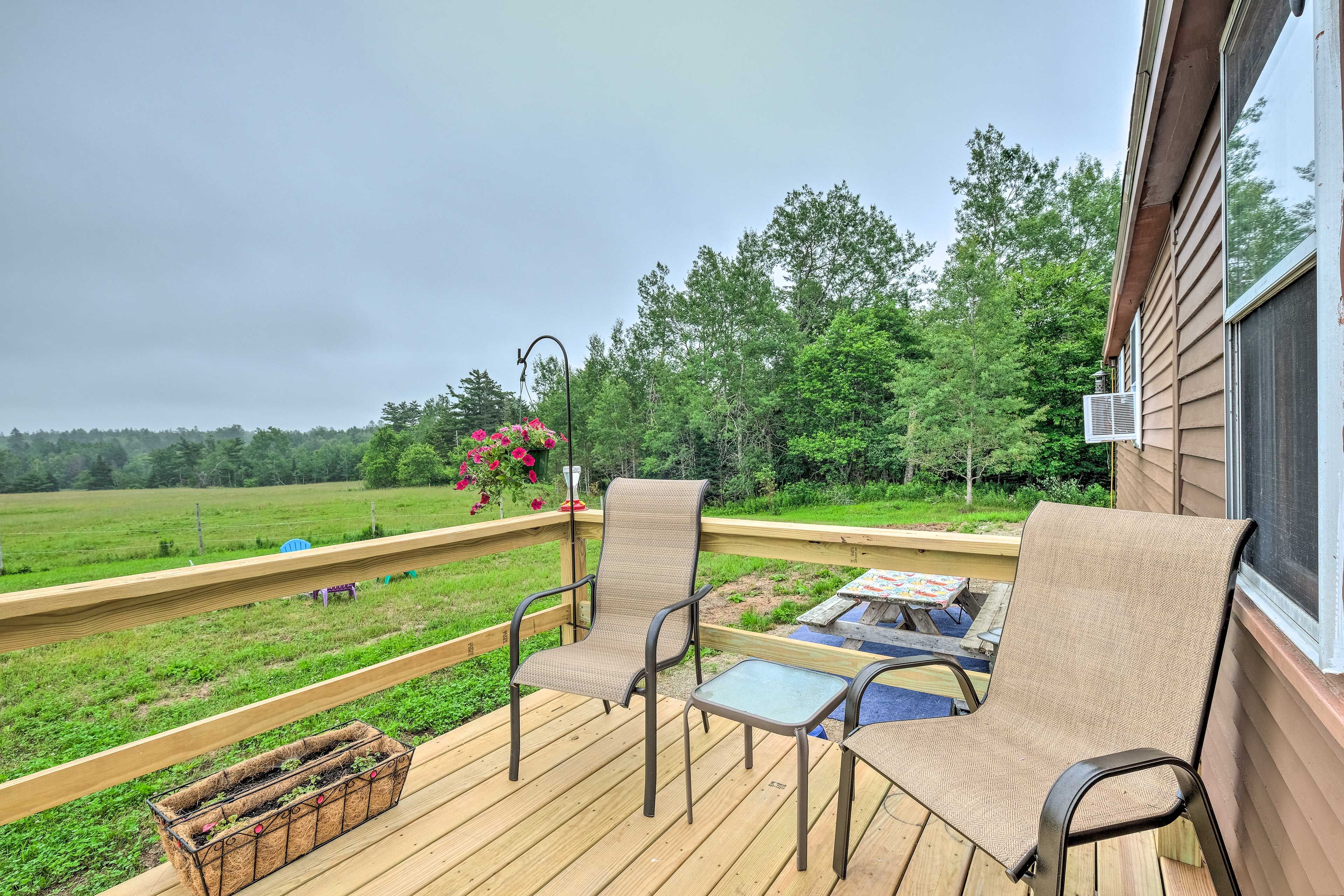 Pasture Views | Fire Pit | Gas Grill | Horse Stables