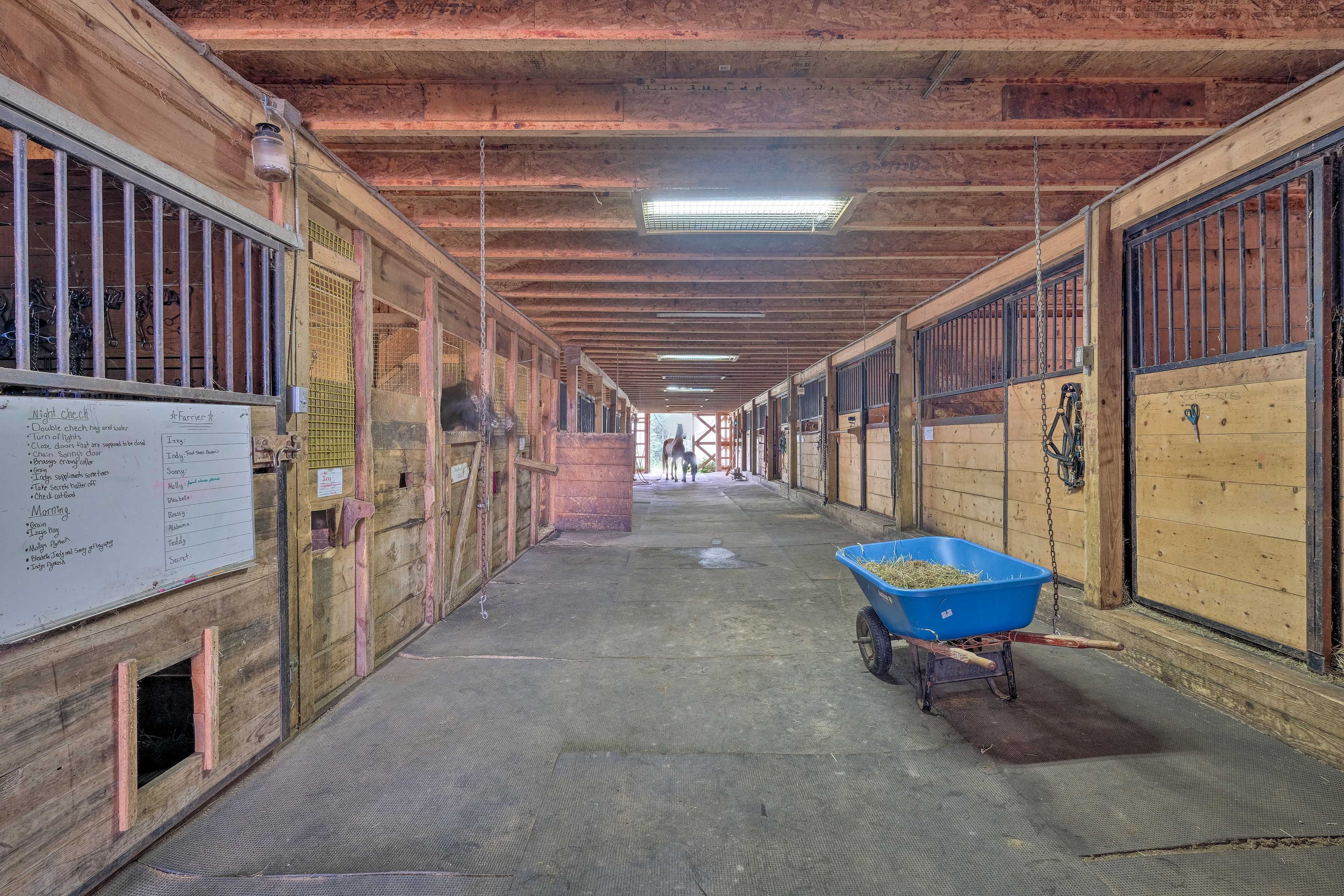 Horse Stables
