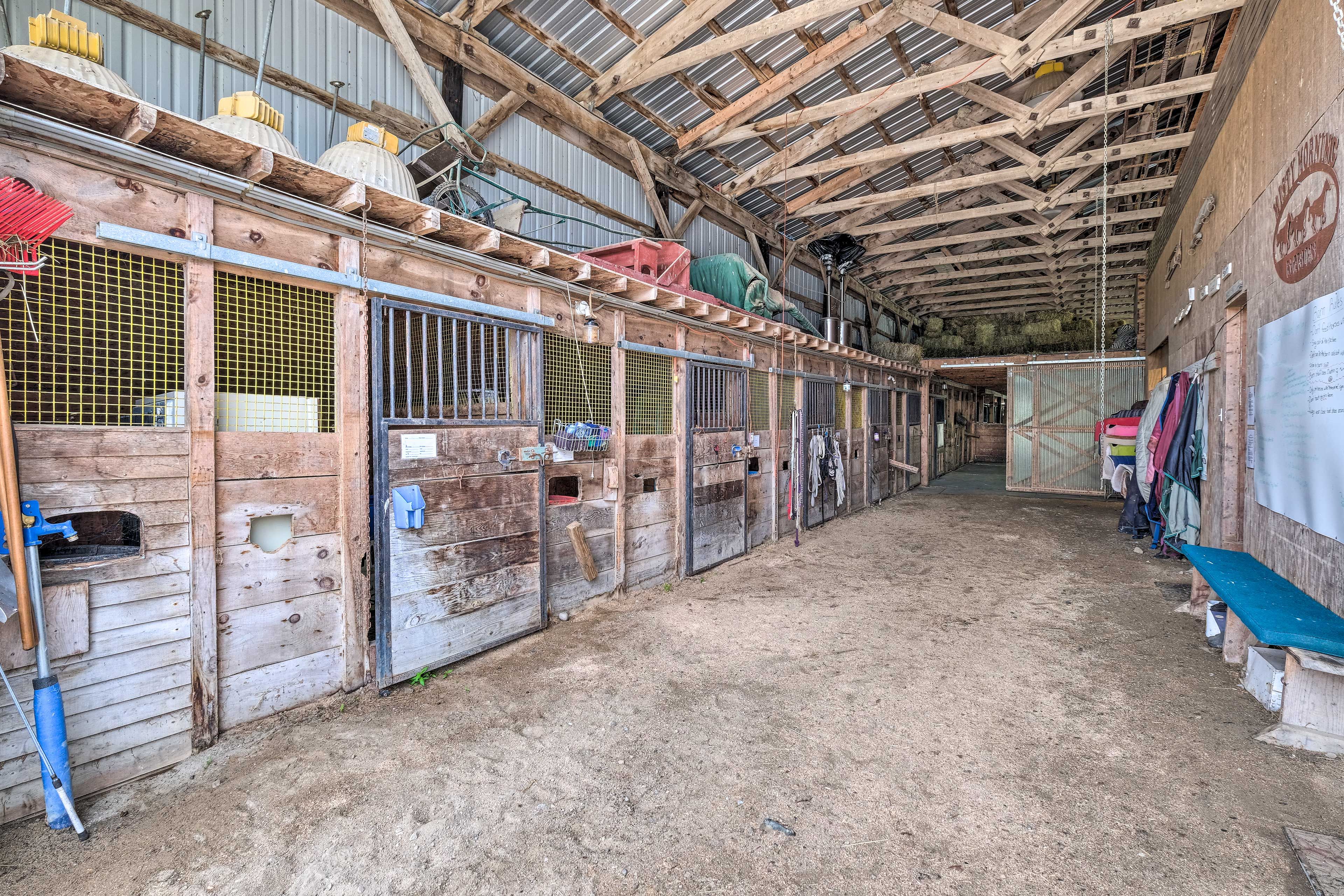 Horse Stables