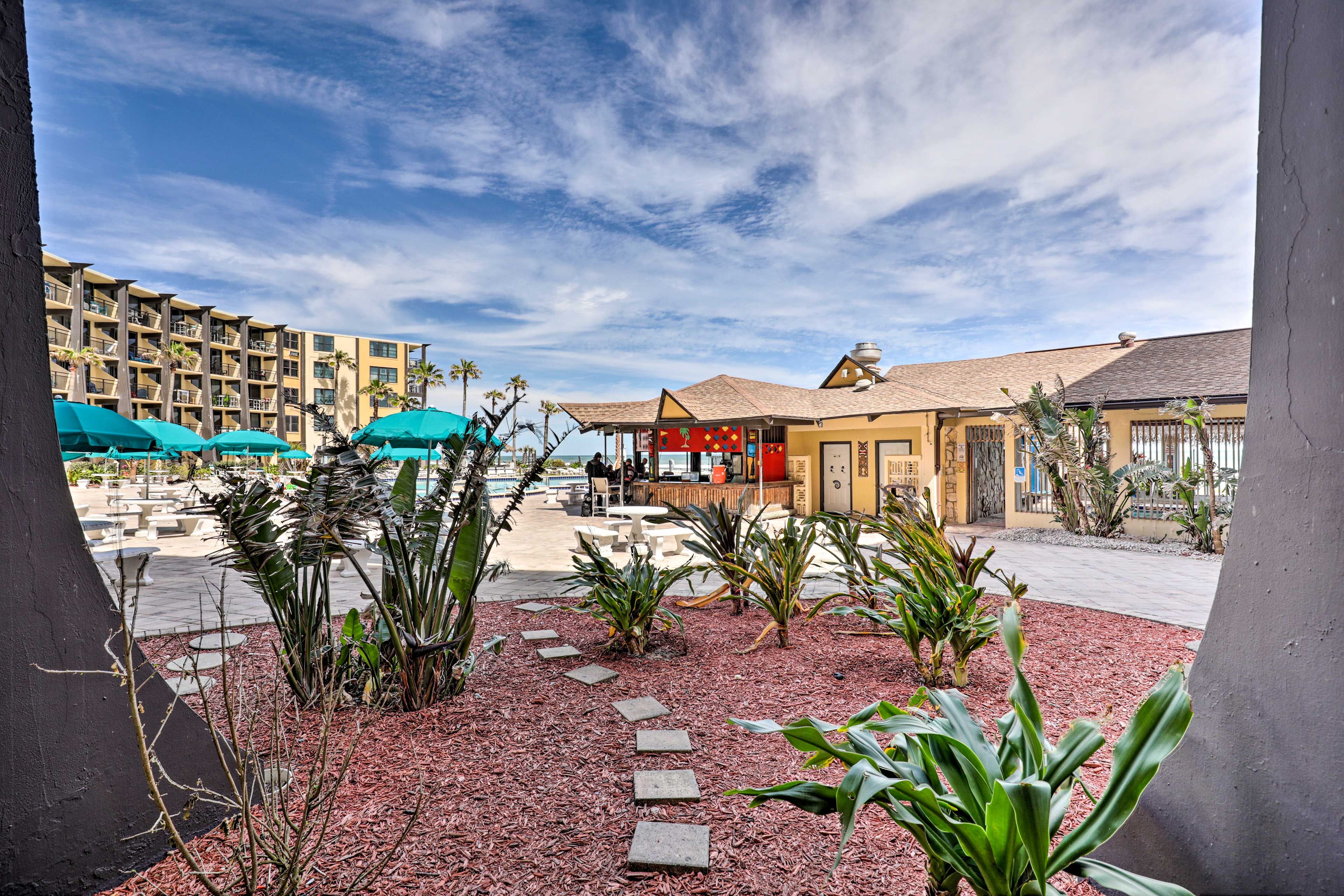 Patio View