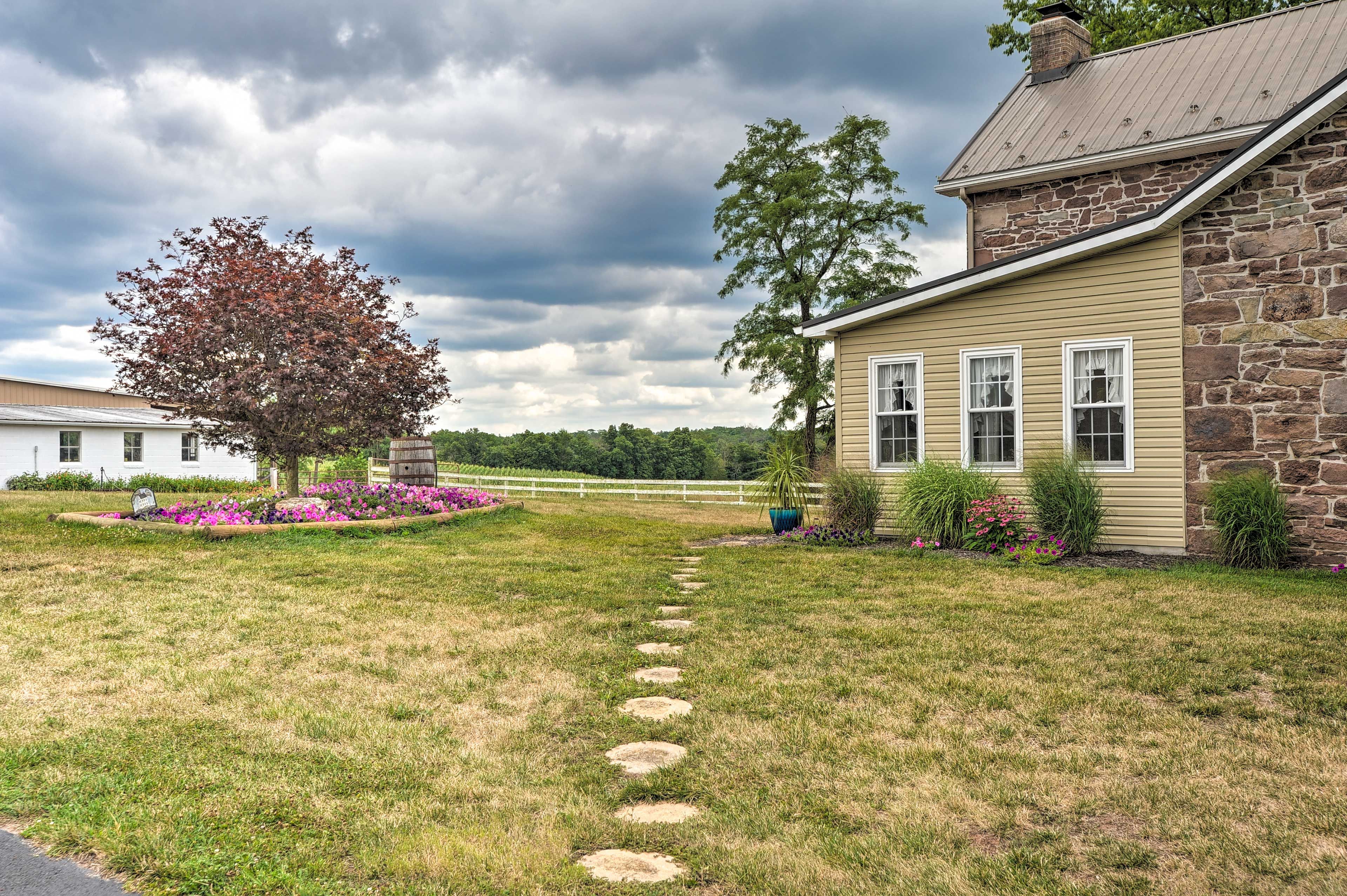 Yard Space