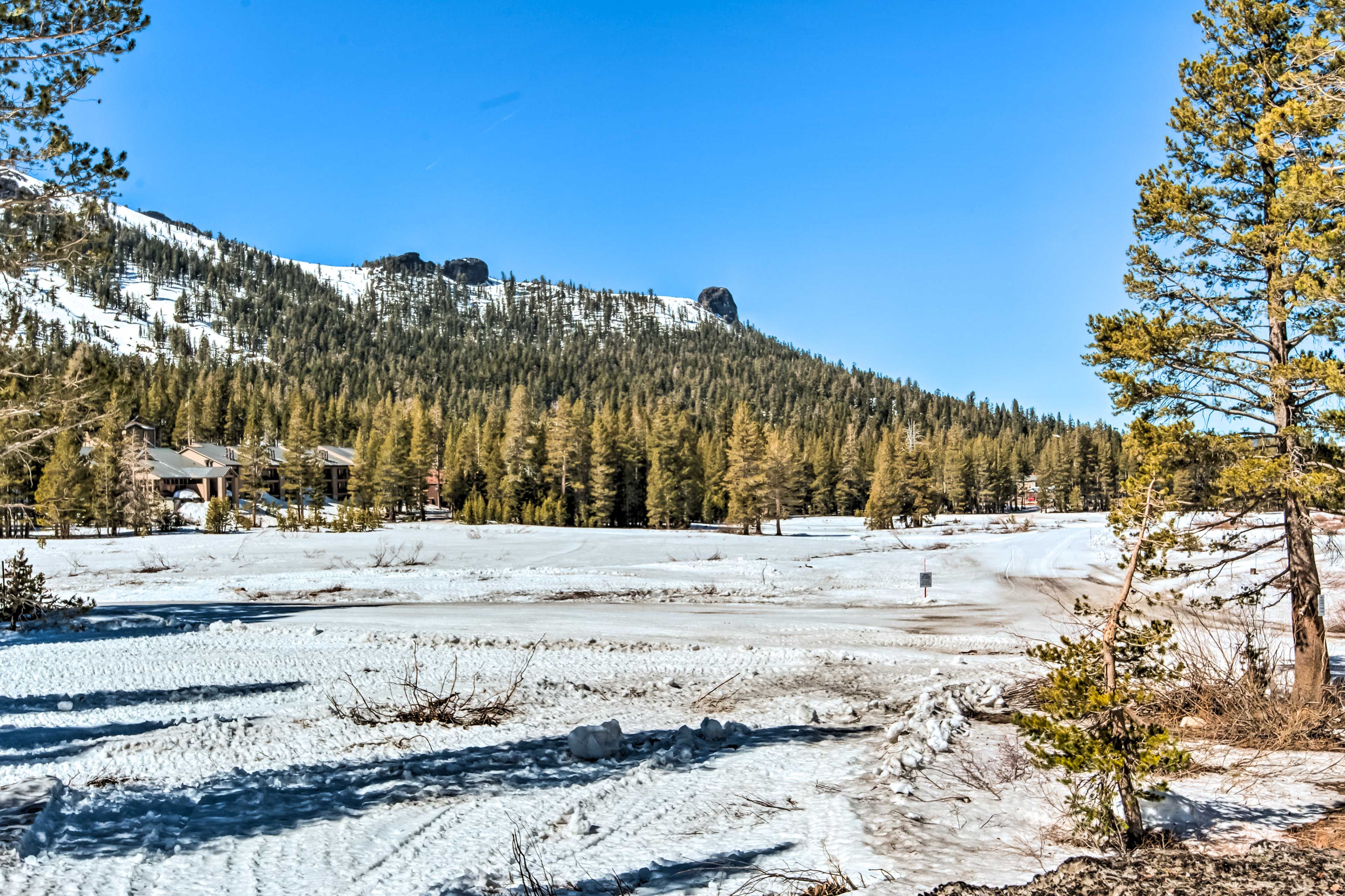 Surrounding Area