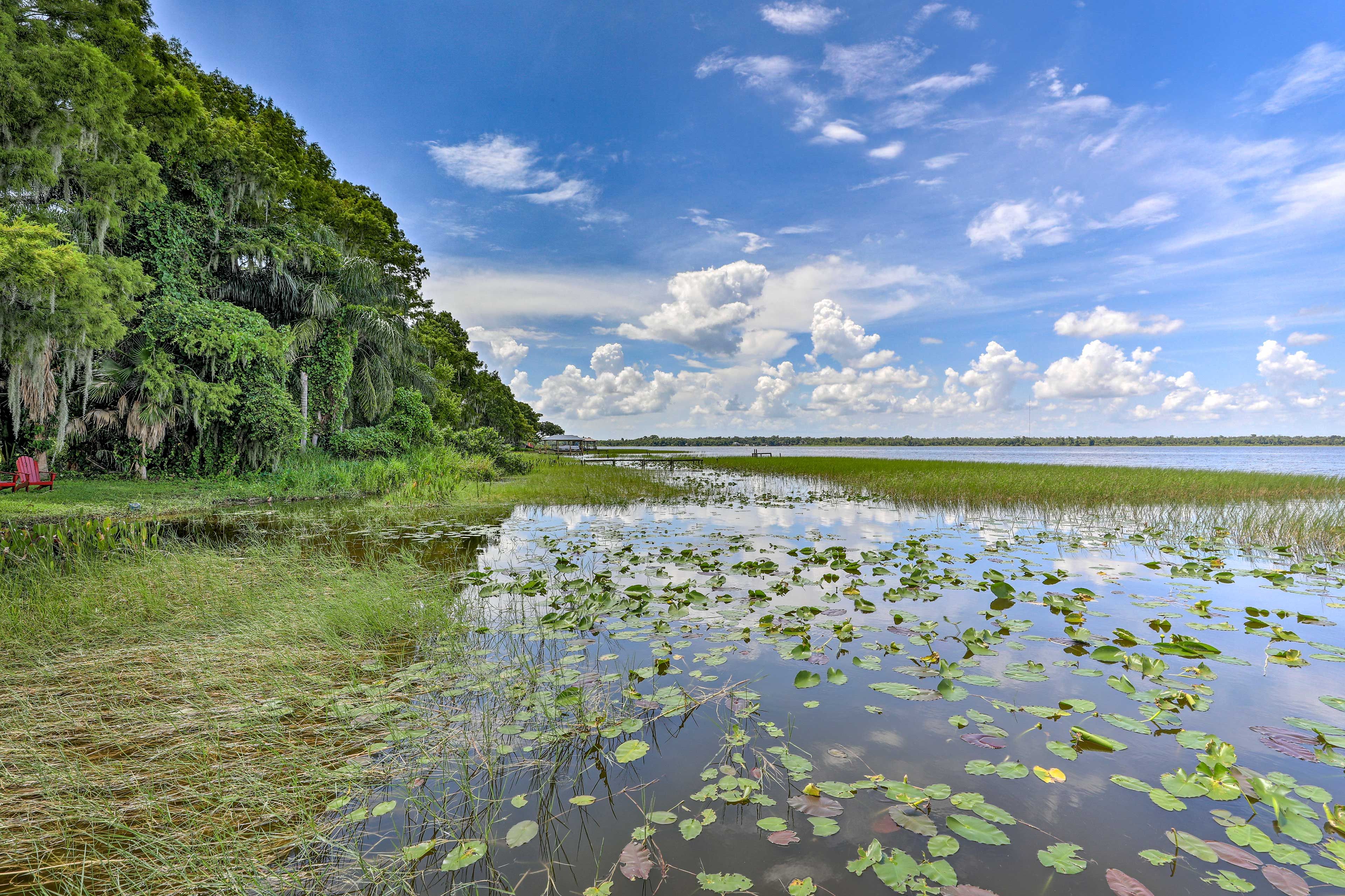 This waterfront home is perfect for boaters, bird watchers, and nature lovers!