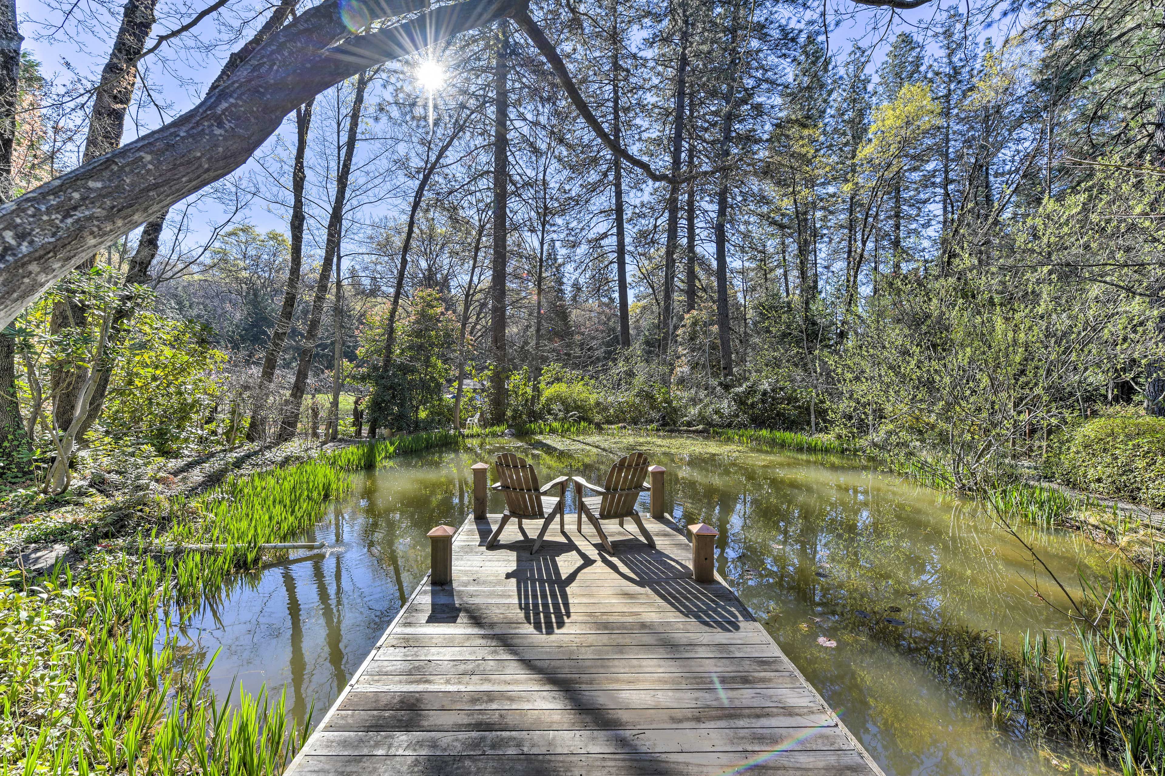 Grass Valley Vacation Rental | 1BR | 1BA | Stairs Required | 664 Sq Ft