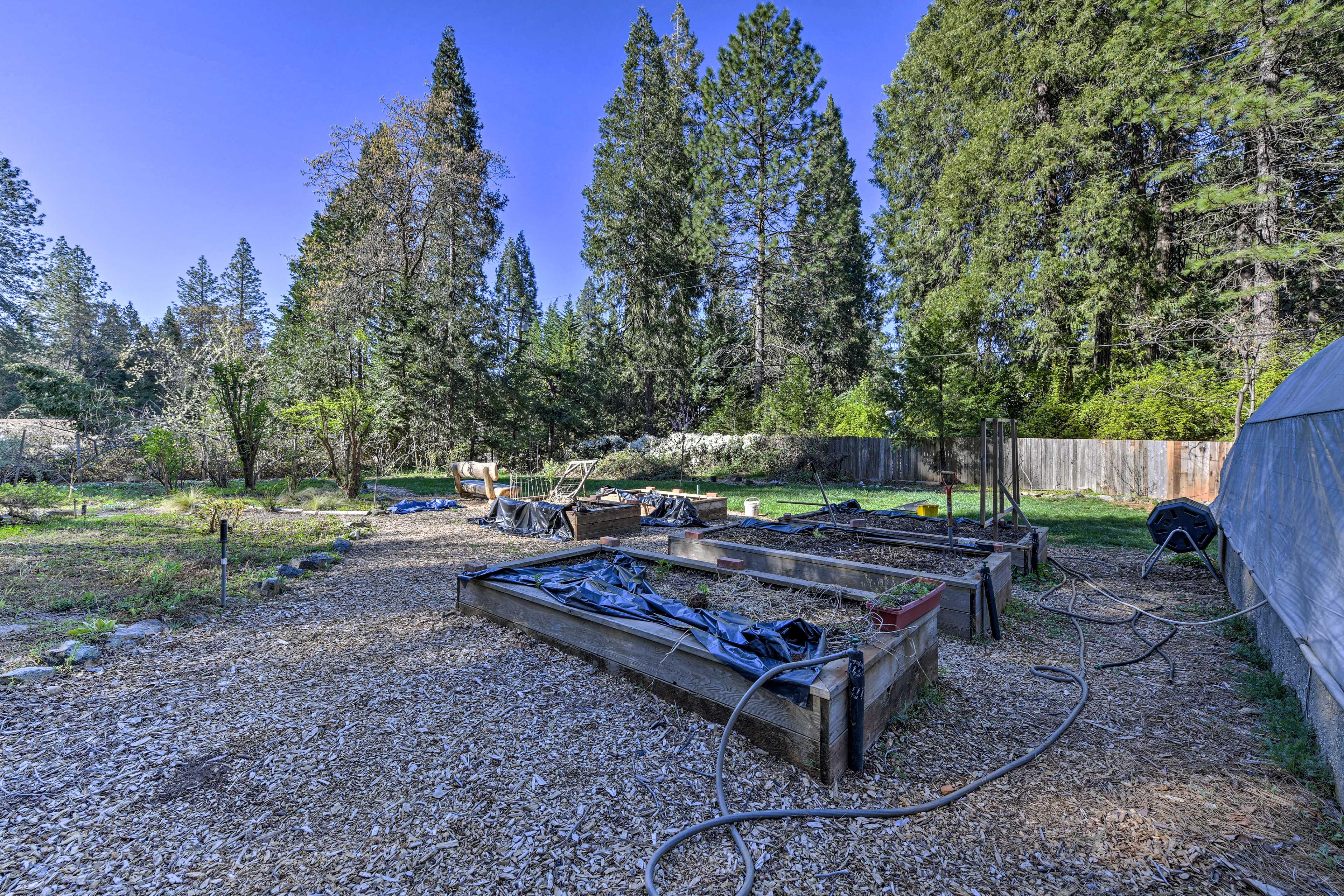 Garden