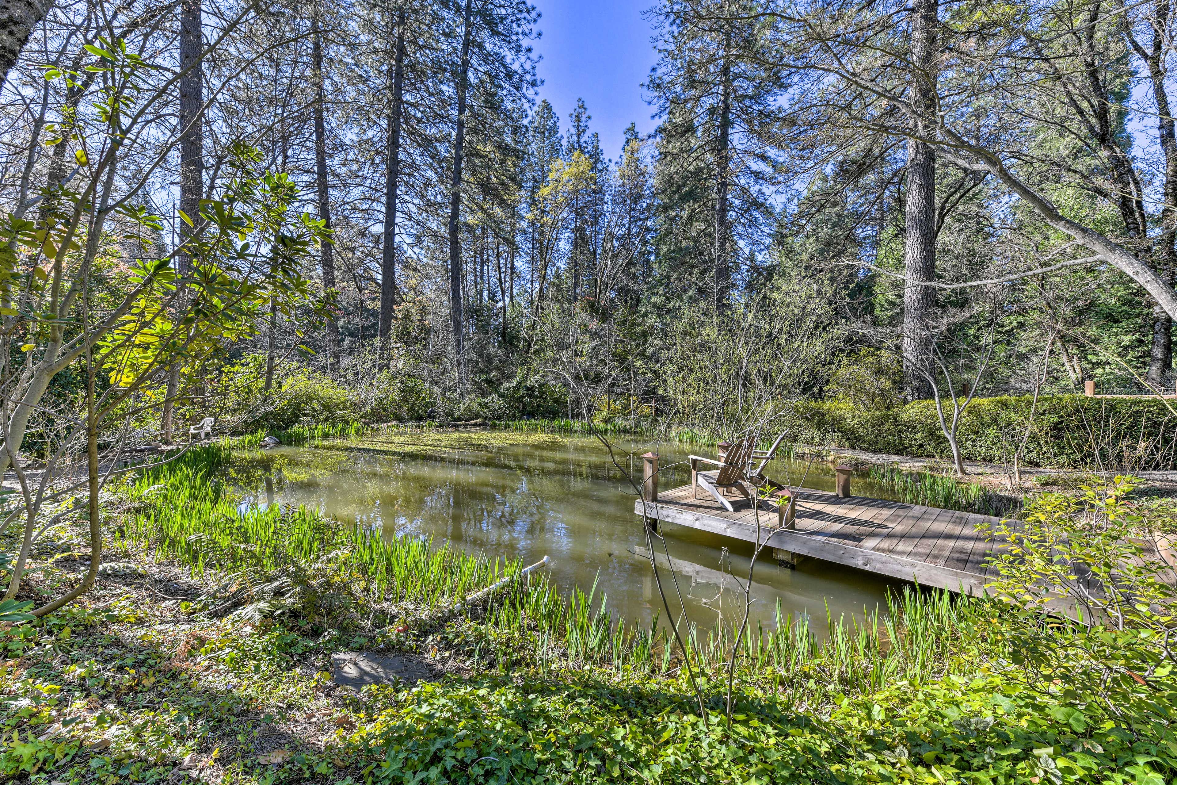 Dock | Koi Pond
