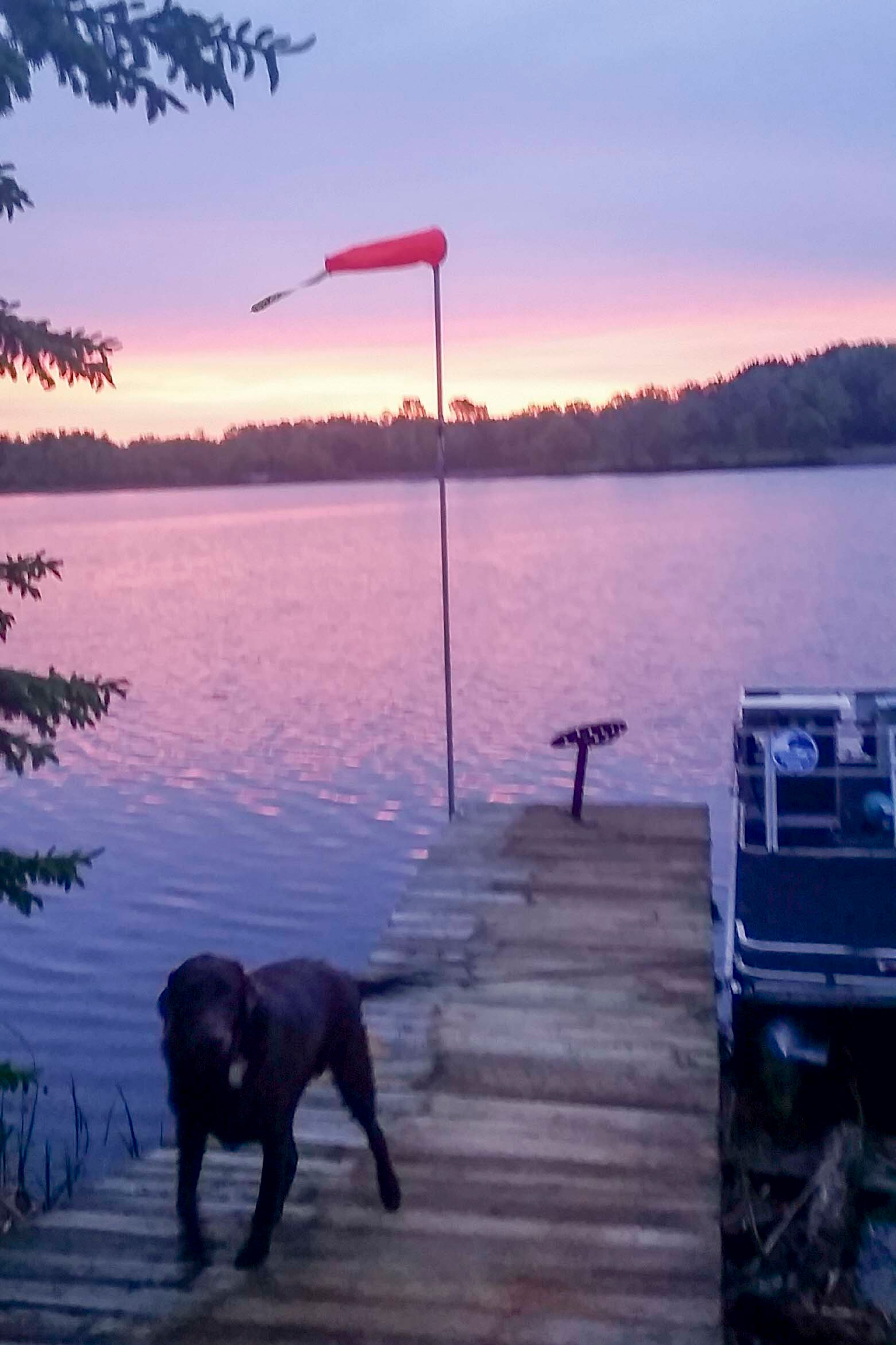 Dock