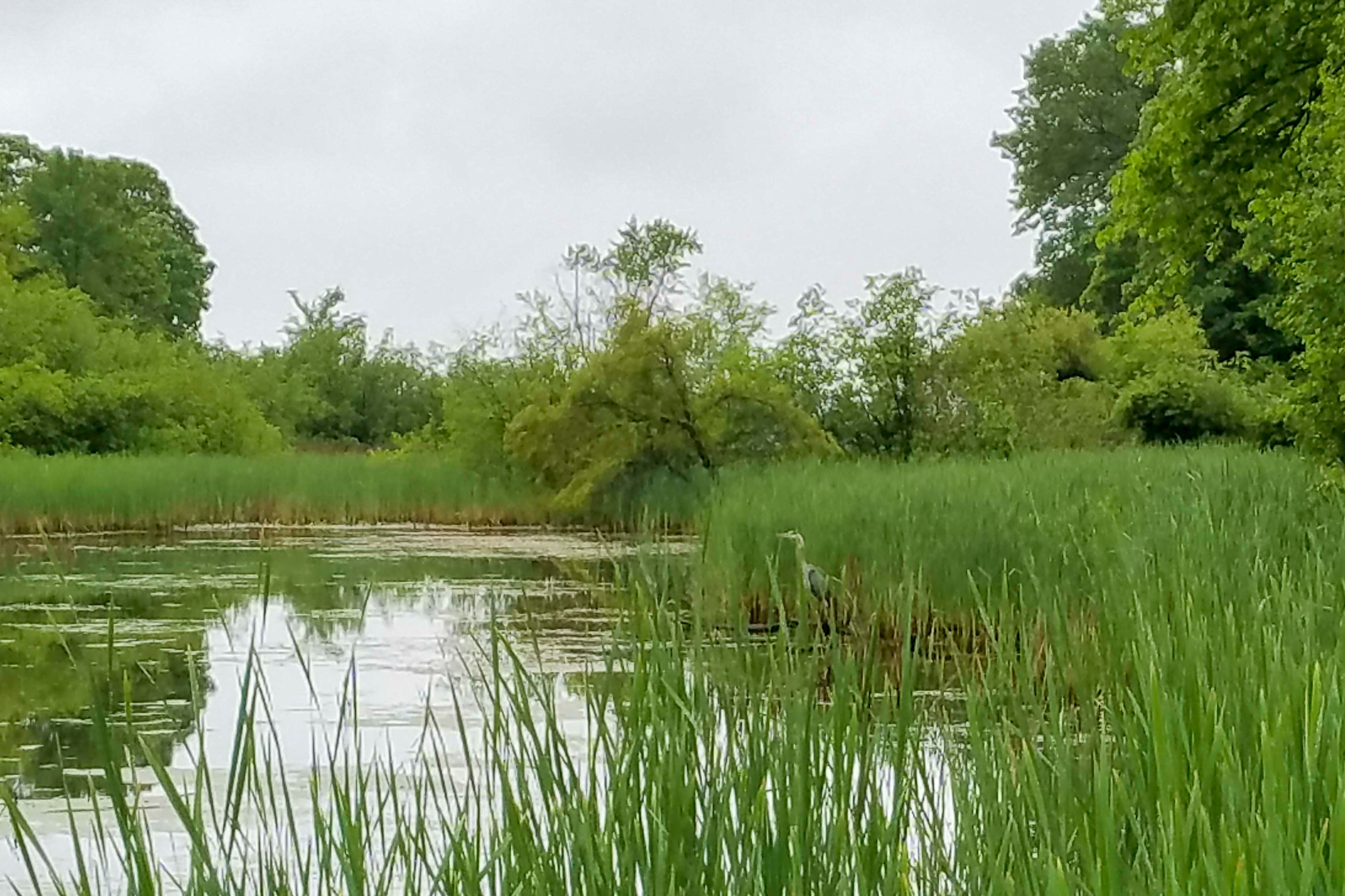 Surrounding Area