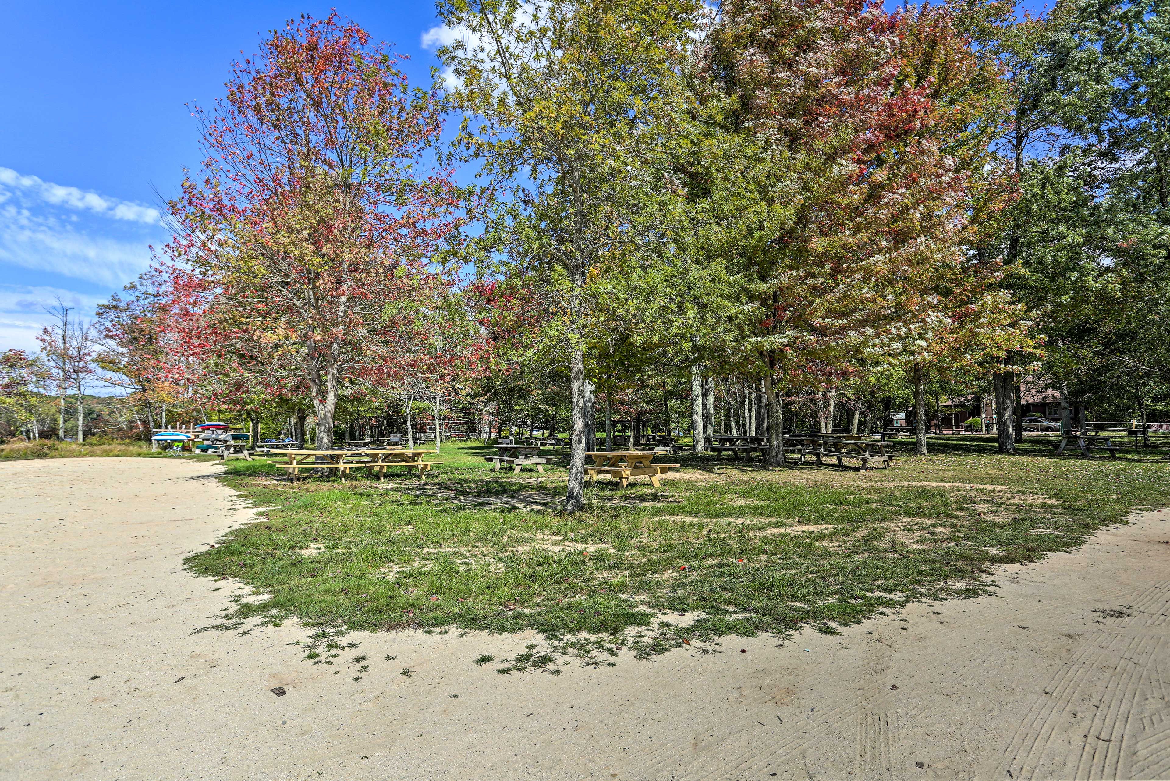 Have a picnic under the tall deciduous trees.