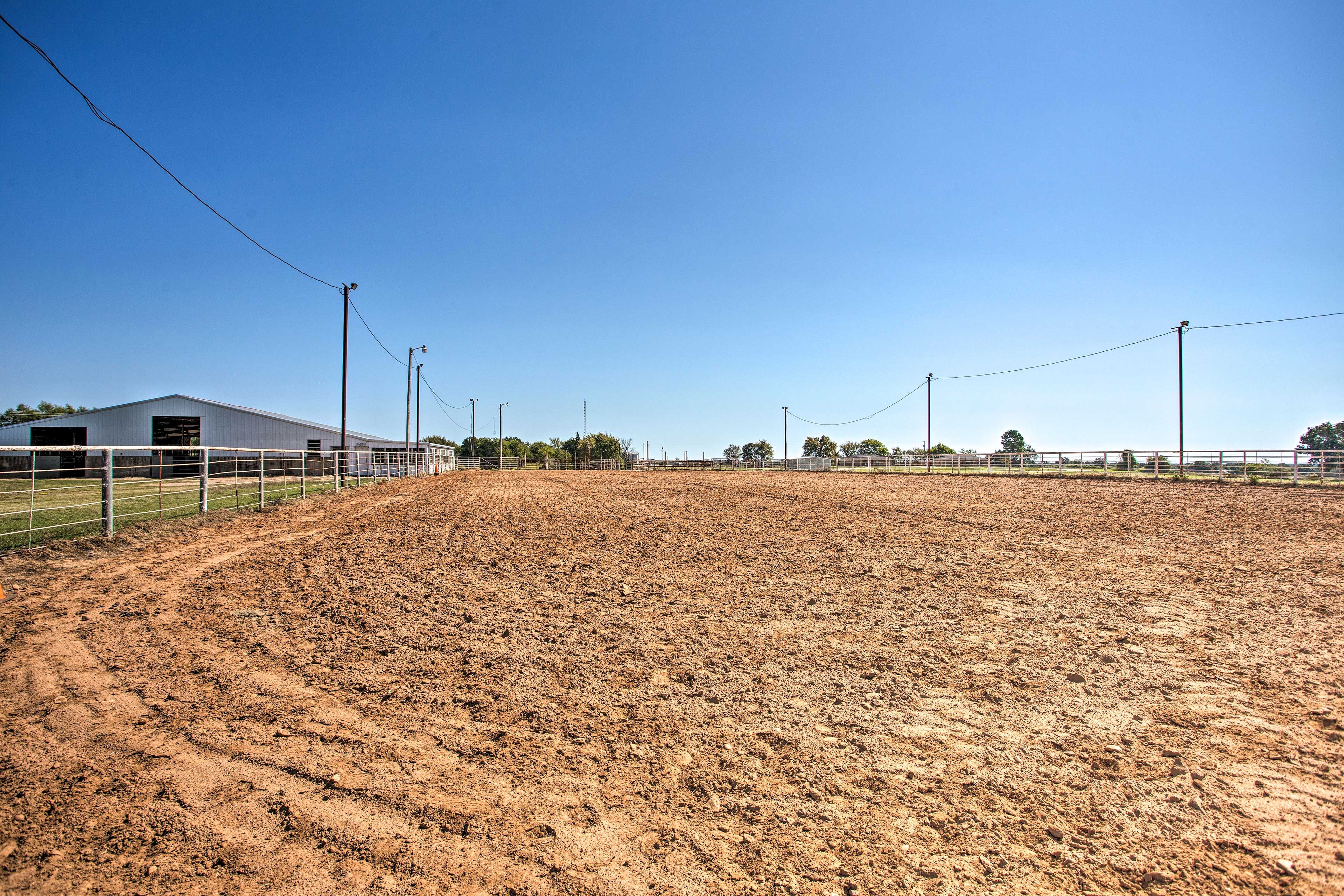Horse Arena