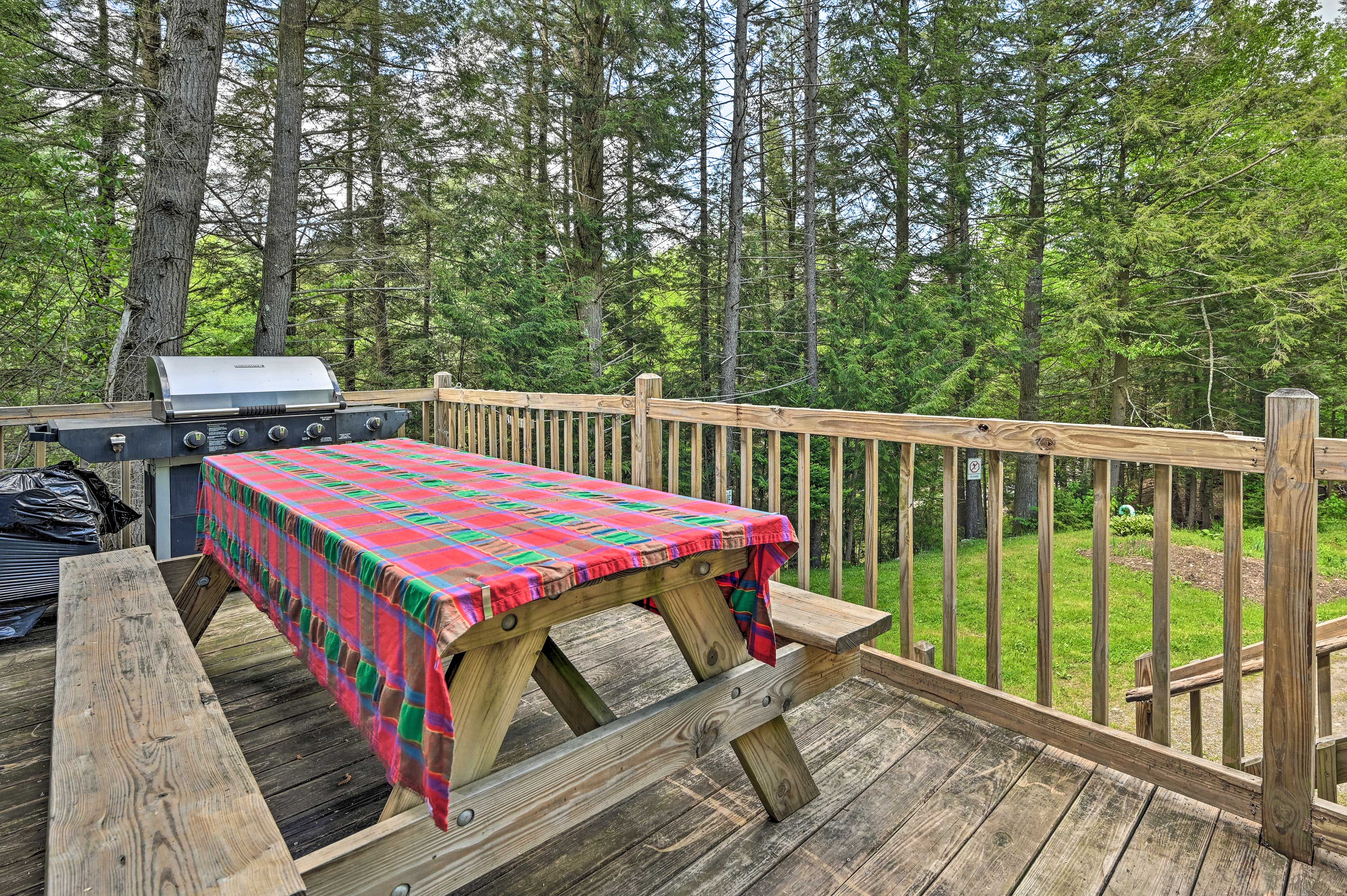 Deck | Gas Grill