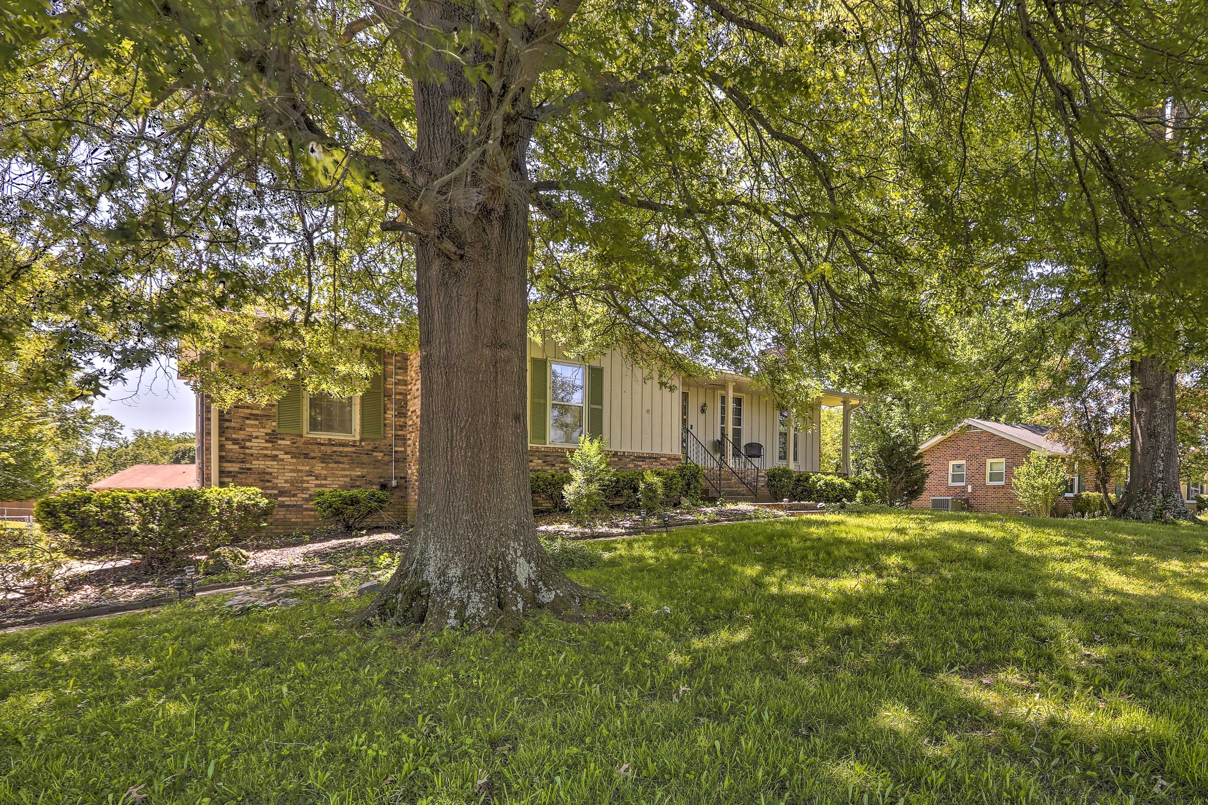 This home is well sheltered by these old growth trees.