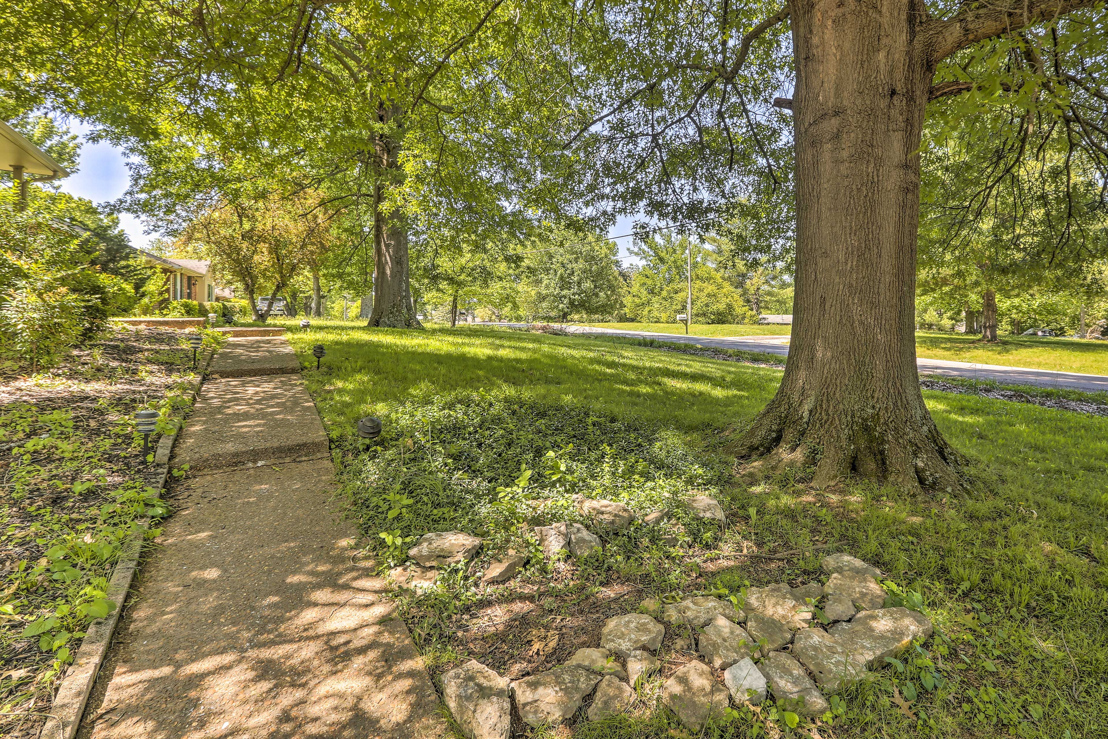 Sit in the shade of a tree and read a book.