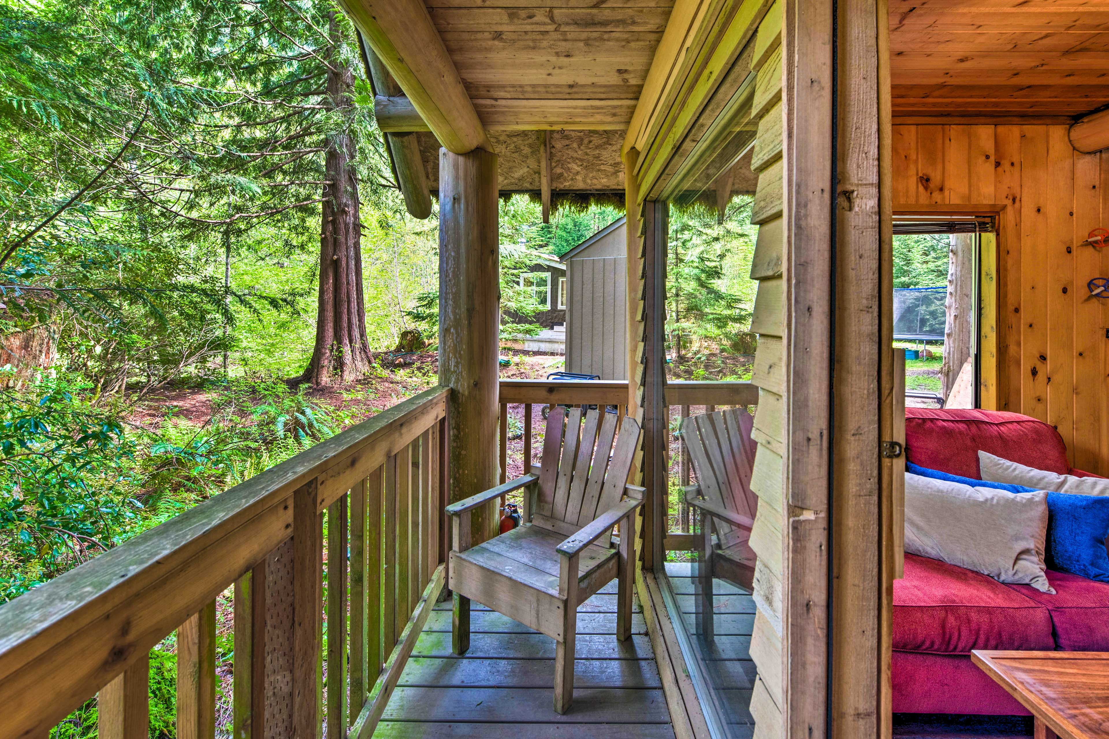The 'Lily Pad' Cabin